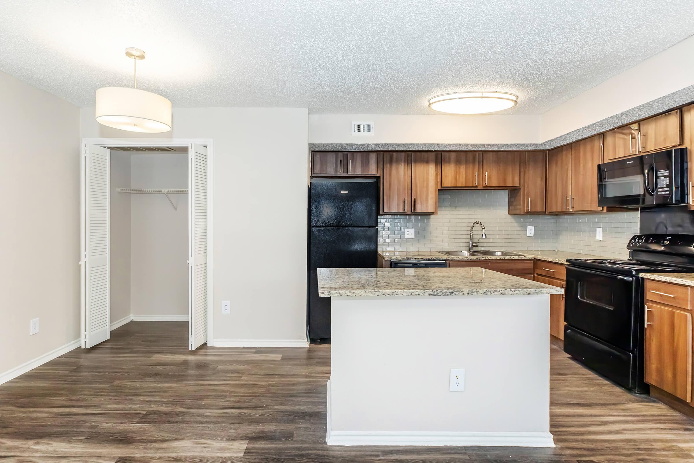 Modern kitchen and living space featuring granite countertops, dark wood cabinetry, and black appliances. A closet with sliding doors is visible in the background, and the room has a light fixture on the ceiling, enhancing the ambiance. The flooring is a rich, dark wood.
