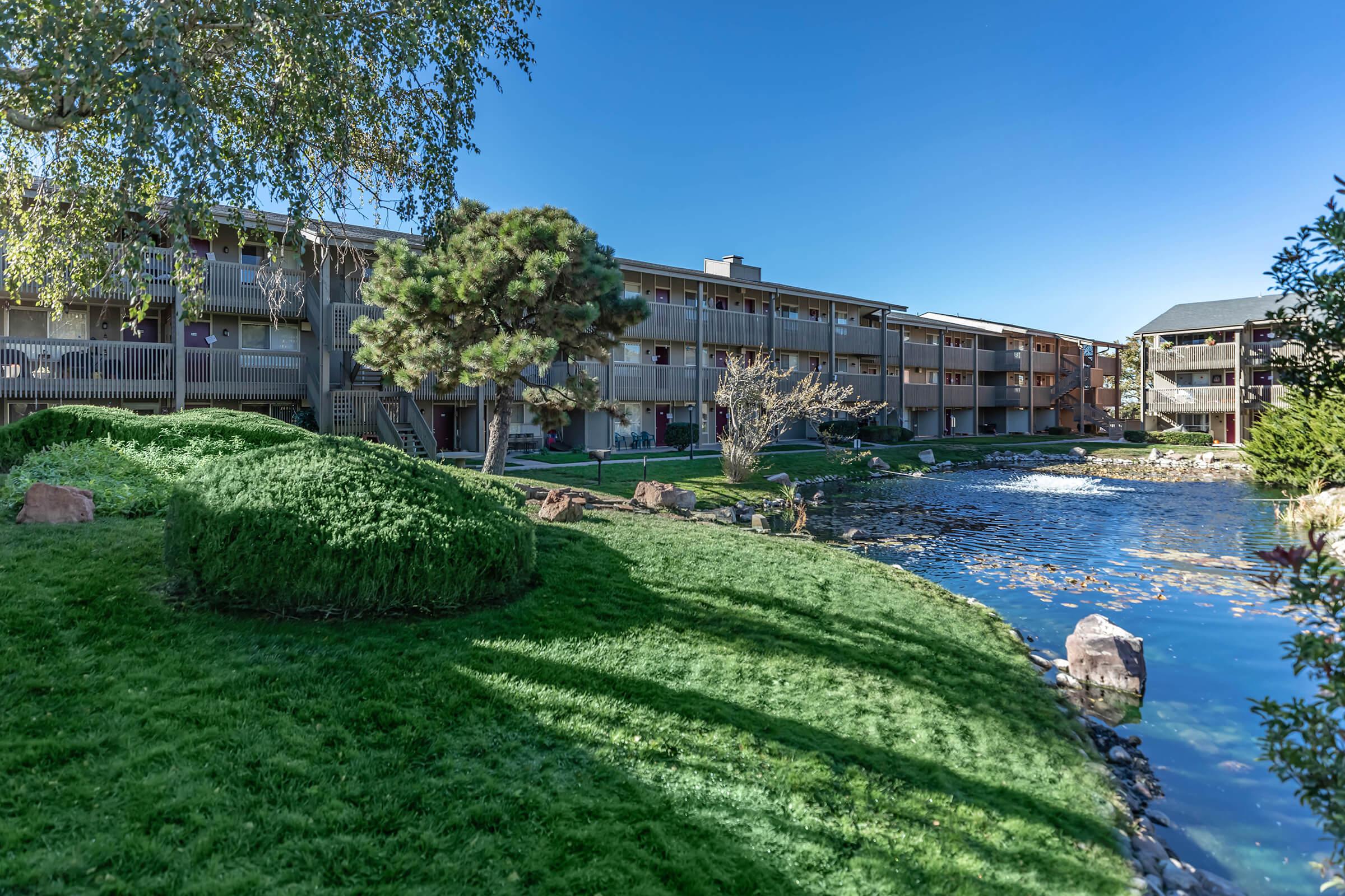 the community creek with green grass