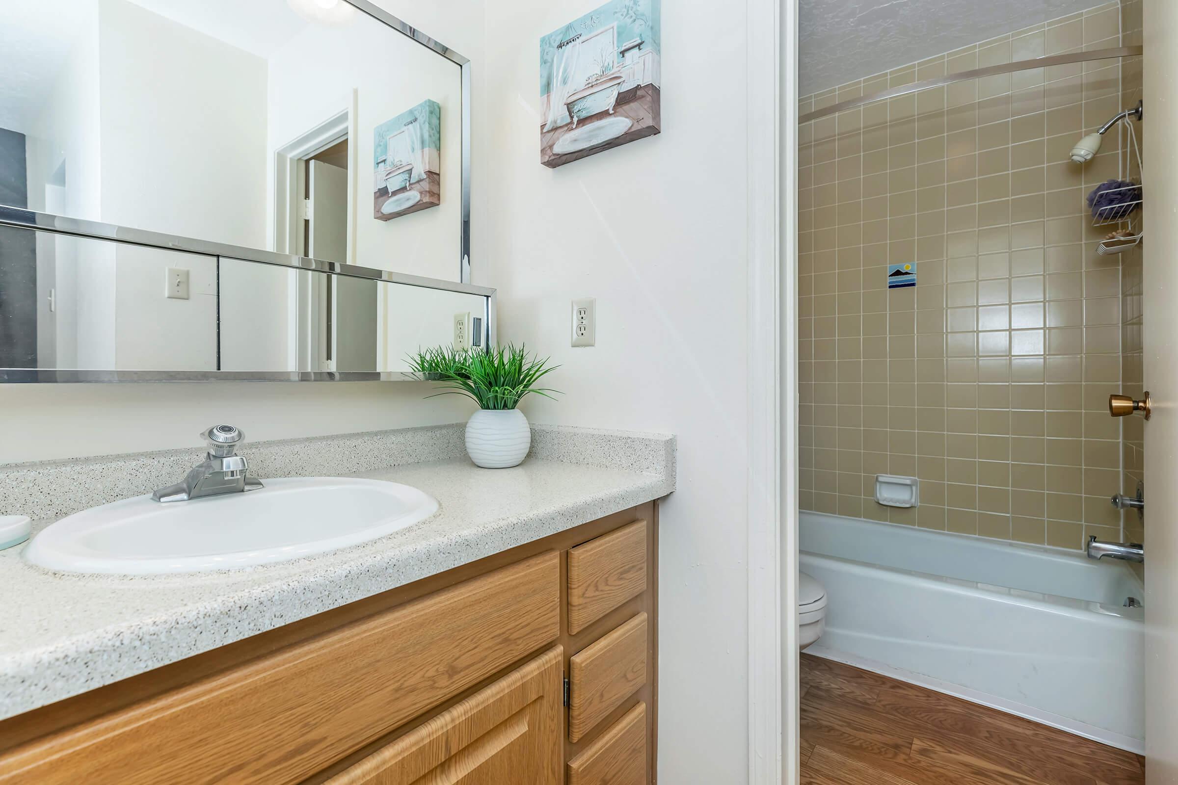 bathroom with wooden cabinets