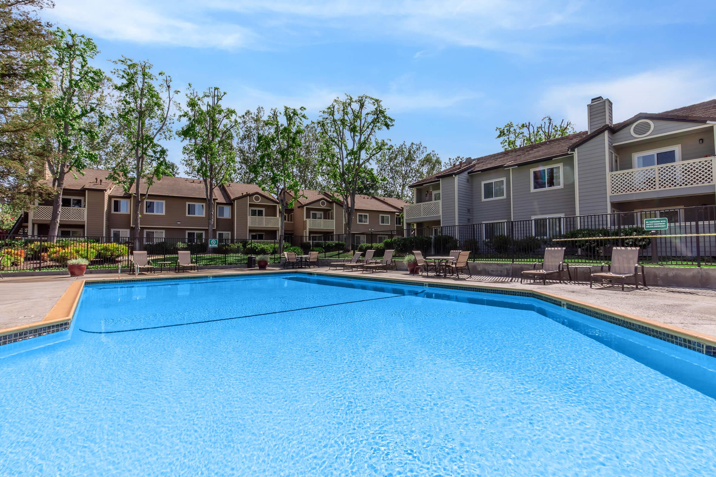 A clear blue swimming pool surrounded by lounge chairs and shaded by trees, with multi-story apartment buildings in the background. The scene is sunny, showcasing a relaxing outdoor area perfect for leisure and community living.