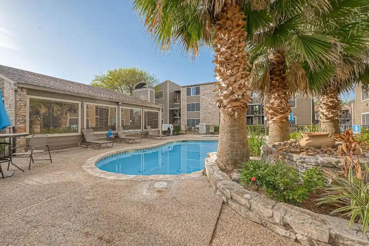 a pool next to a palm tree