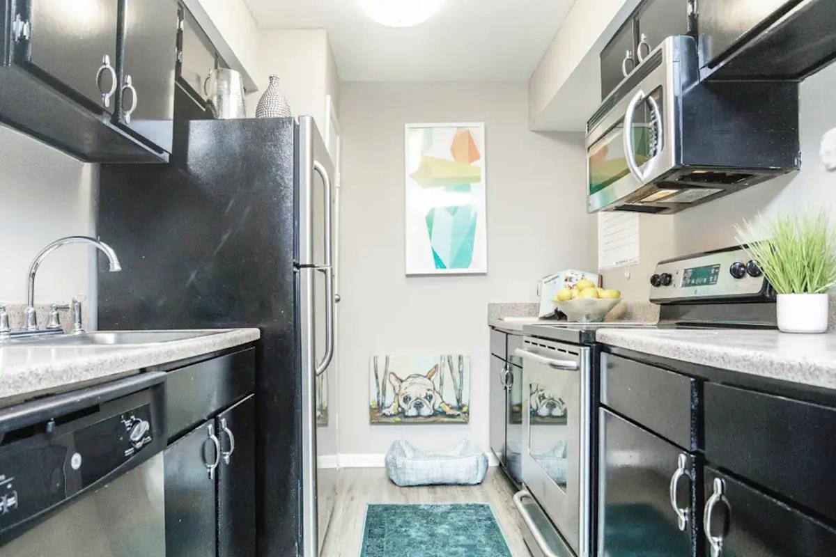 a kitchen with a stove and a sink