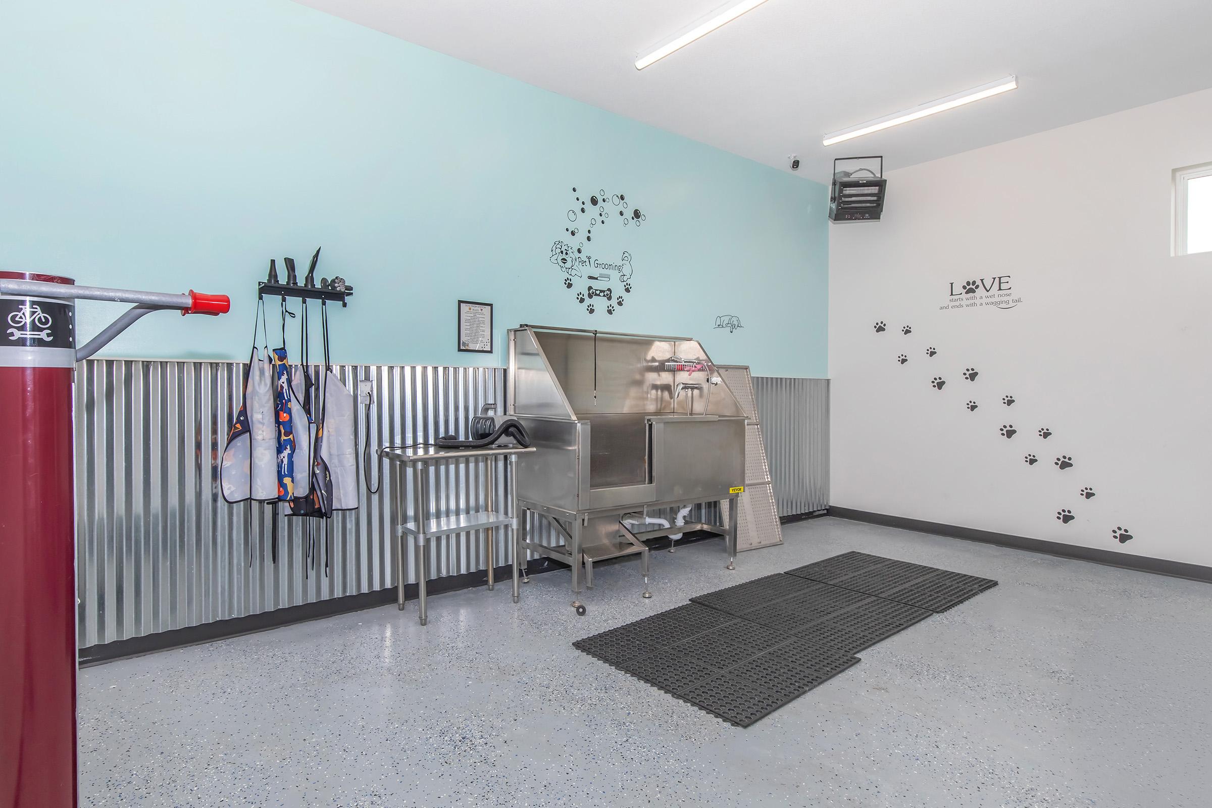 A modern pet grooming room featuring stainless steel grooming tub, rubber mats on the floor, and wall decorations including paw prints. There are hooks for leashes and grooming tools, and the walls are painted light blue. Bright lighting enhances the clean, spacious environment suitable for pet care.