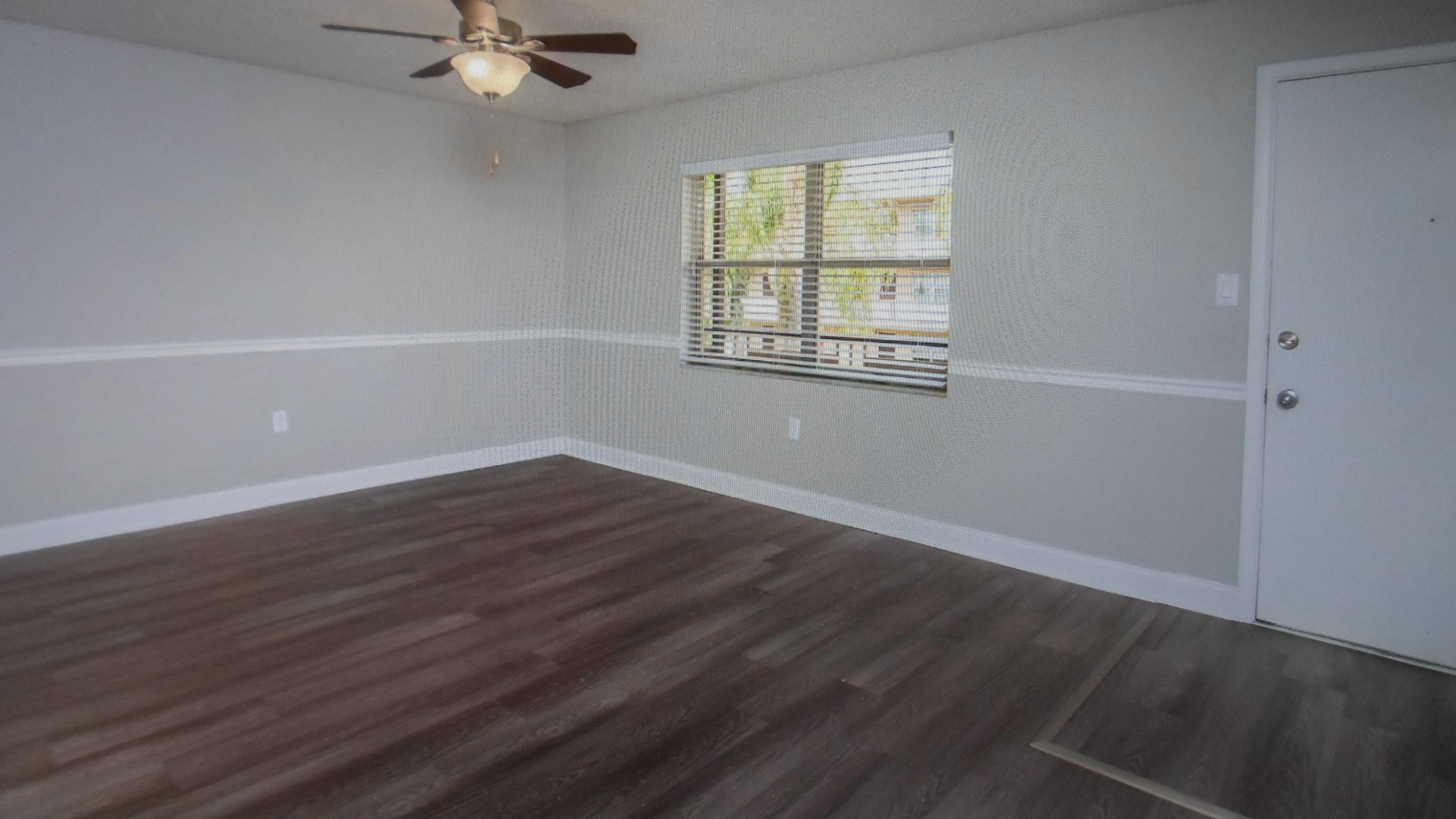 a bird sitting on top of a wooden floor