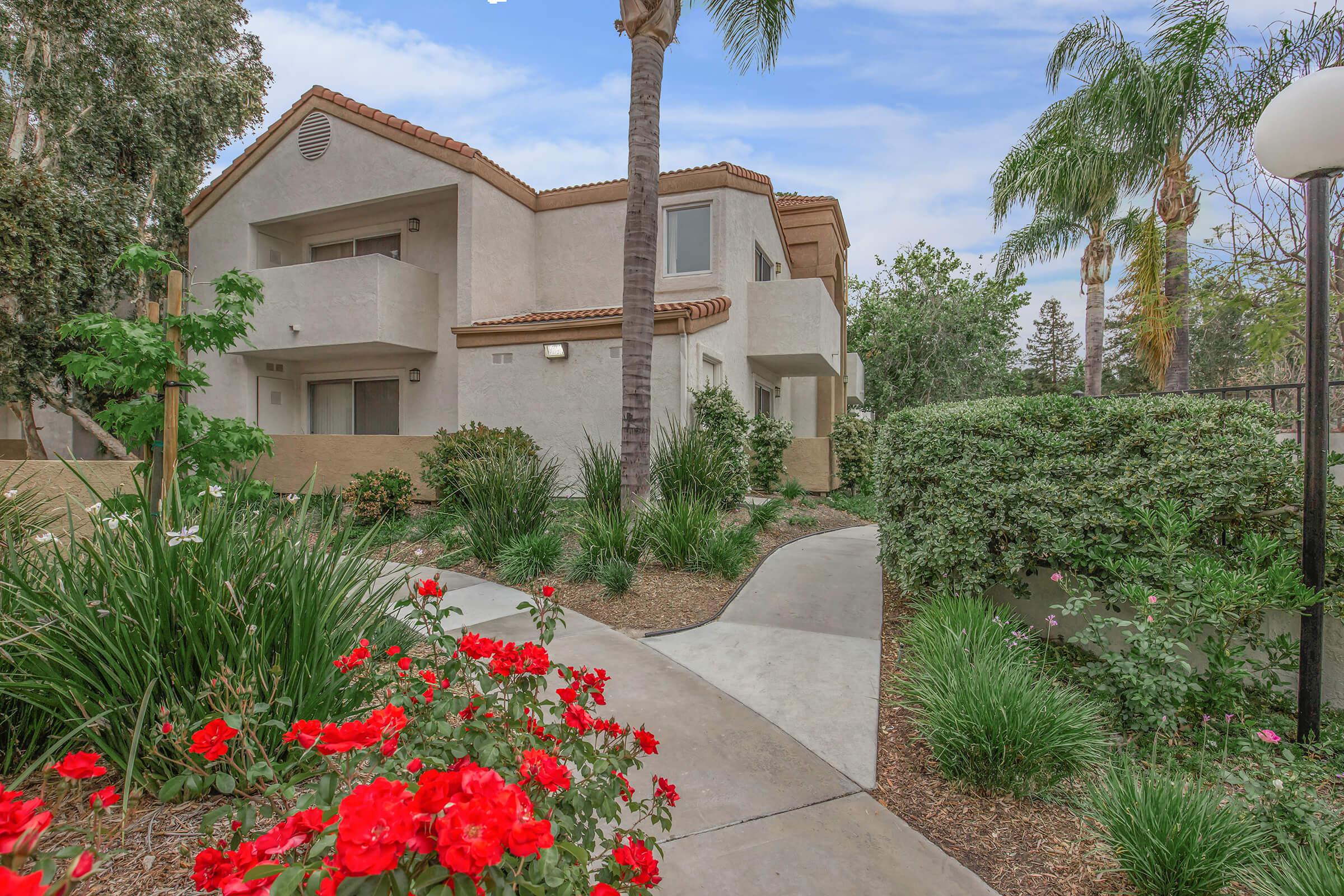 a close up of a flower garden in front of a house