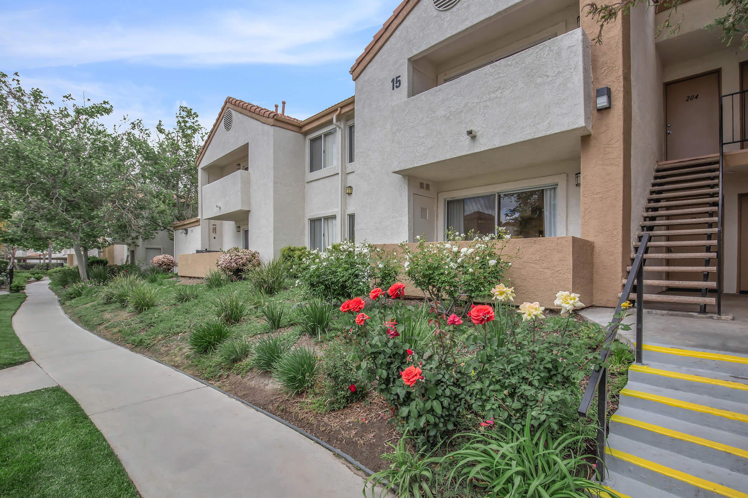 a close up of a flower garden in front of a building