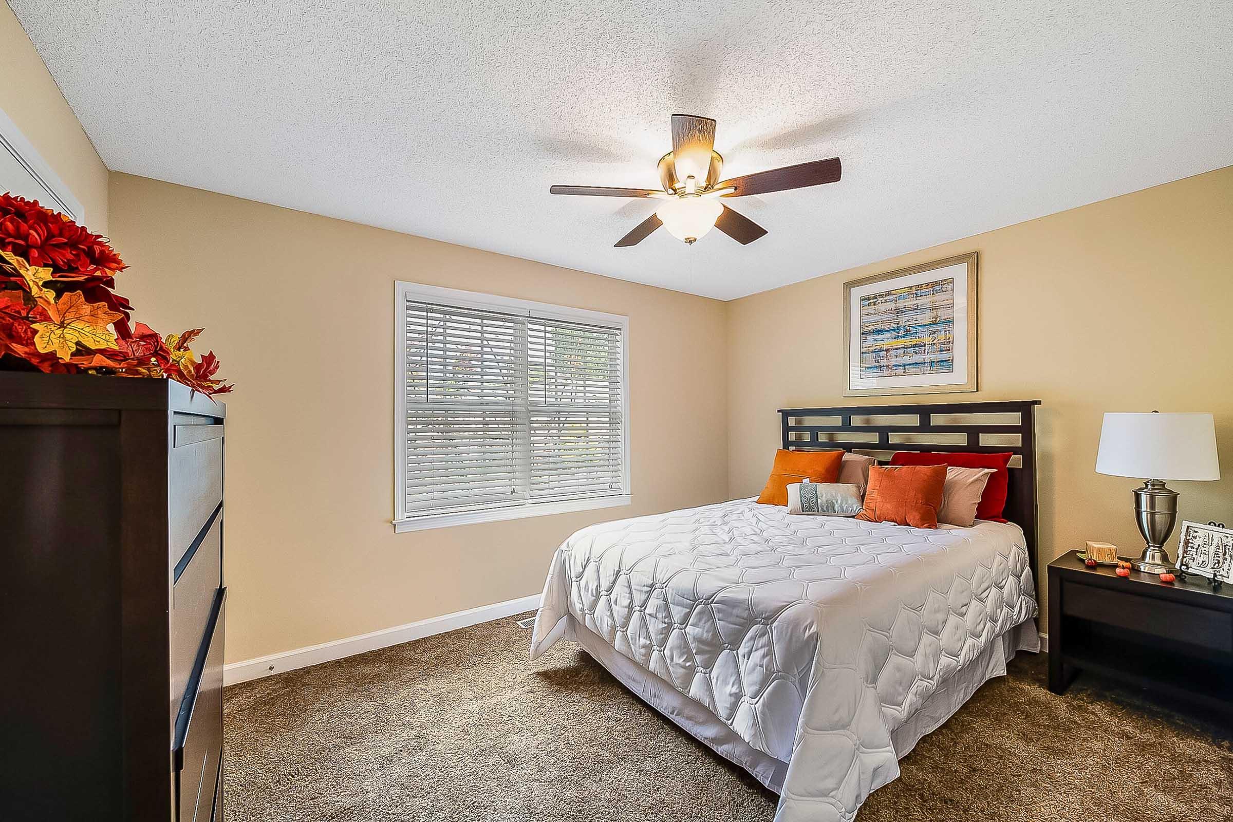 Cozy bedroom featuring a queen-sized bed with decorative pillows, a dark wooden headboard, and a modern ceiling fan. A nightstand with a lamp and decorative items sits beside the bed, and large windows let in natural light, complemented by neutral wall colors and soft carpeting.
