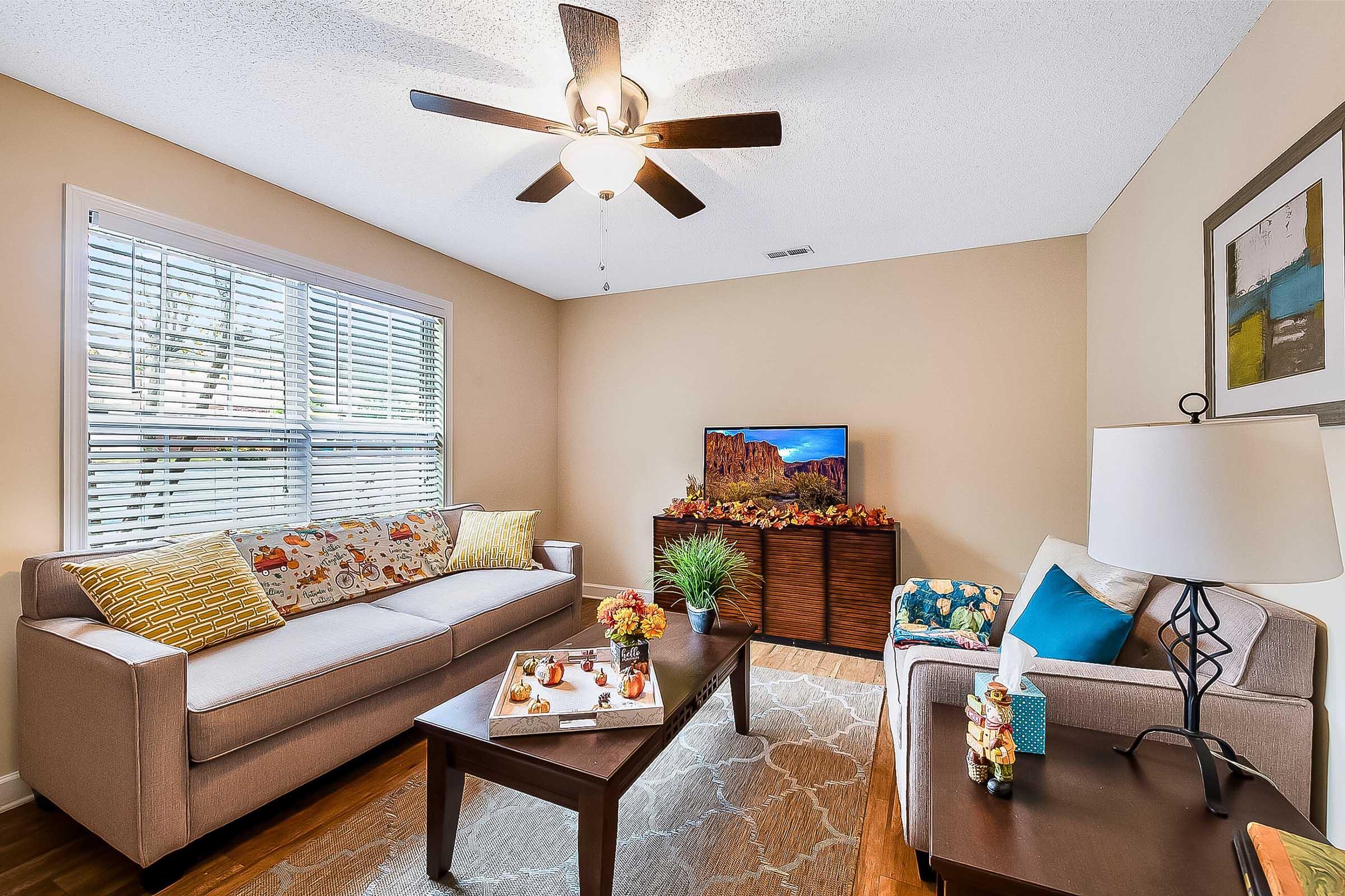 A cozy living room featuring a light brown sofa with colorful cushions, a small table adorned with autumn decorations, a lamp, and a patterned area rug. A ceiling fan provides comfort, while a TV displays a scenic image. Natural light streams in through a window with blinds, enhancing the warm atmosphere.