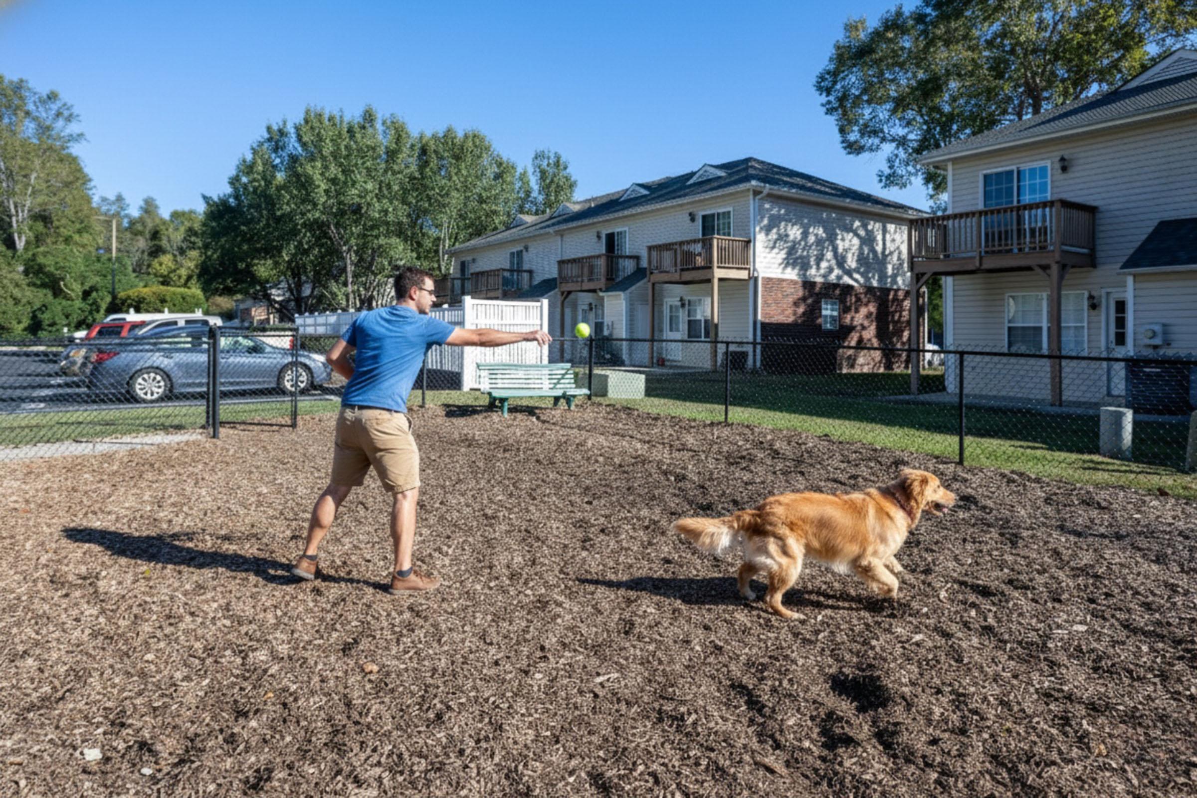 A man in a blue shirt and khaki shorts throws a ball in a dog park, while a golden retriever runs after it. In the background, there are several apartment buildings and trees under a clear blue sky. The park features a fenced area with wood chips on the ground.