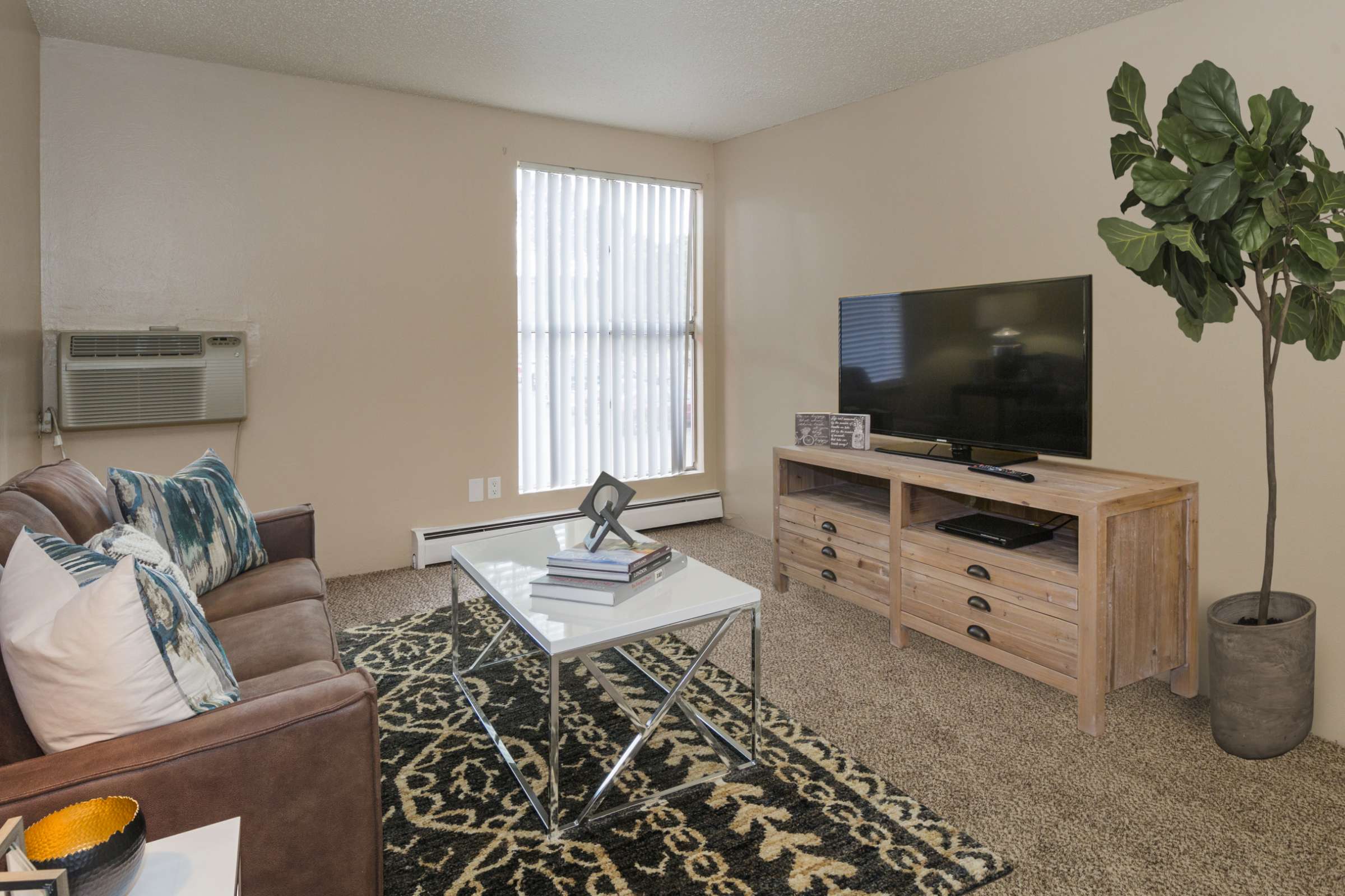 Apartment Features