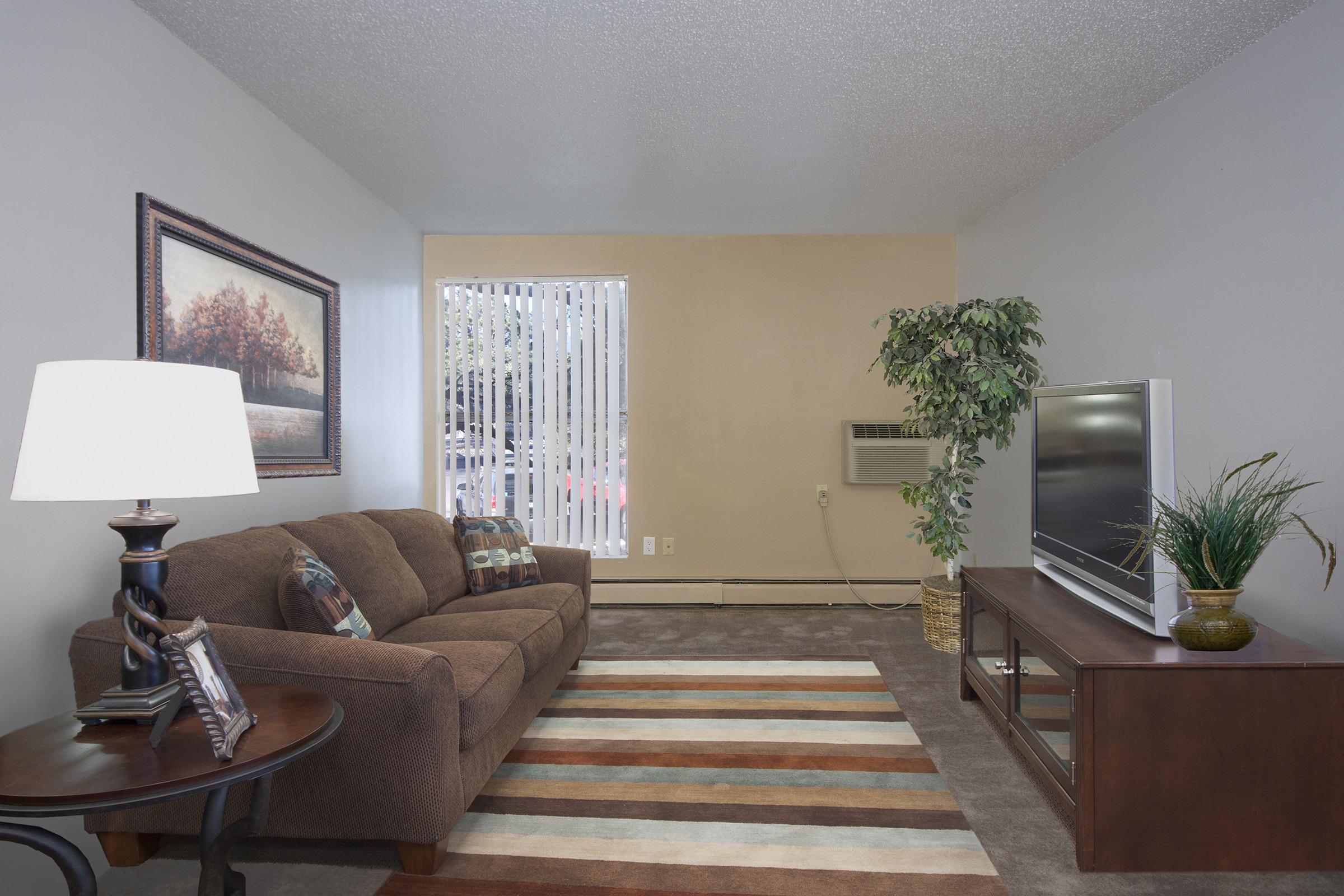 A cozy living room featuring a brown sofa with colorful pillows, a wooden coffee table with a lamp, a television on a dark wooden stand, and a green plant. Light-colored walls and a window with blinds provide natural light, while a striped rug adds a touch of warmth to the space.