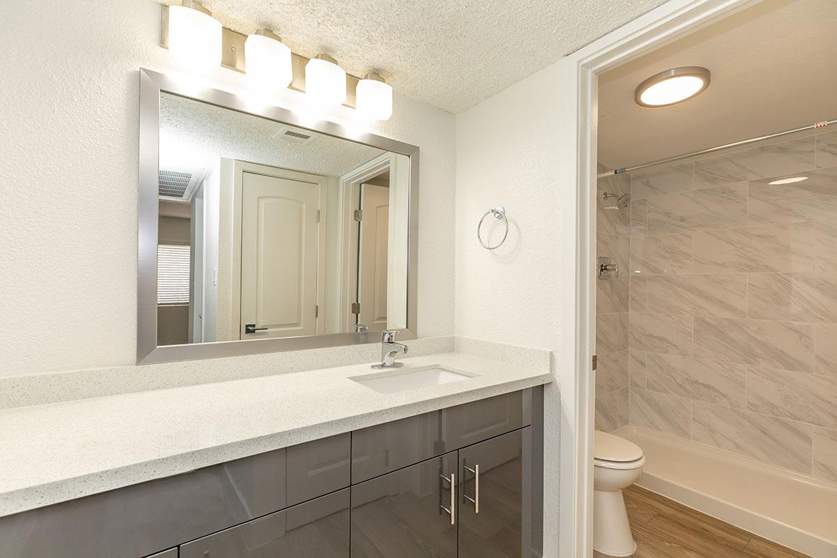 a double sink and large mirror