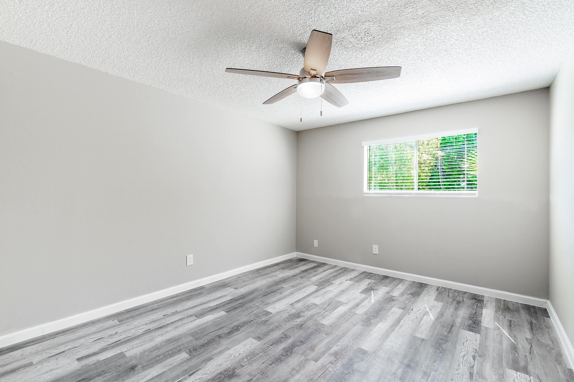 Spacious modern bedroom with grey wood floorings, grey walls, a window, and ceiling fan