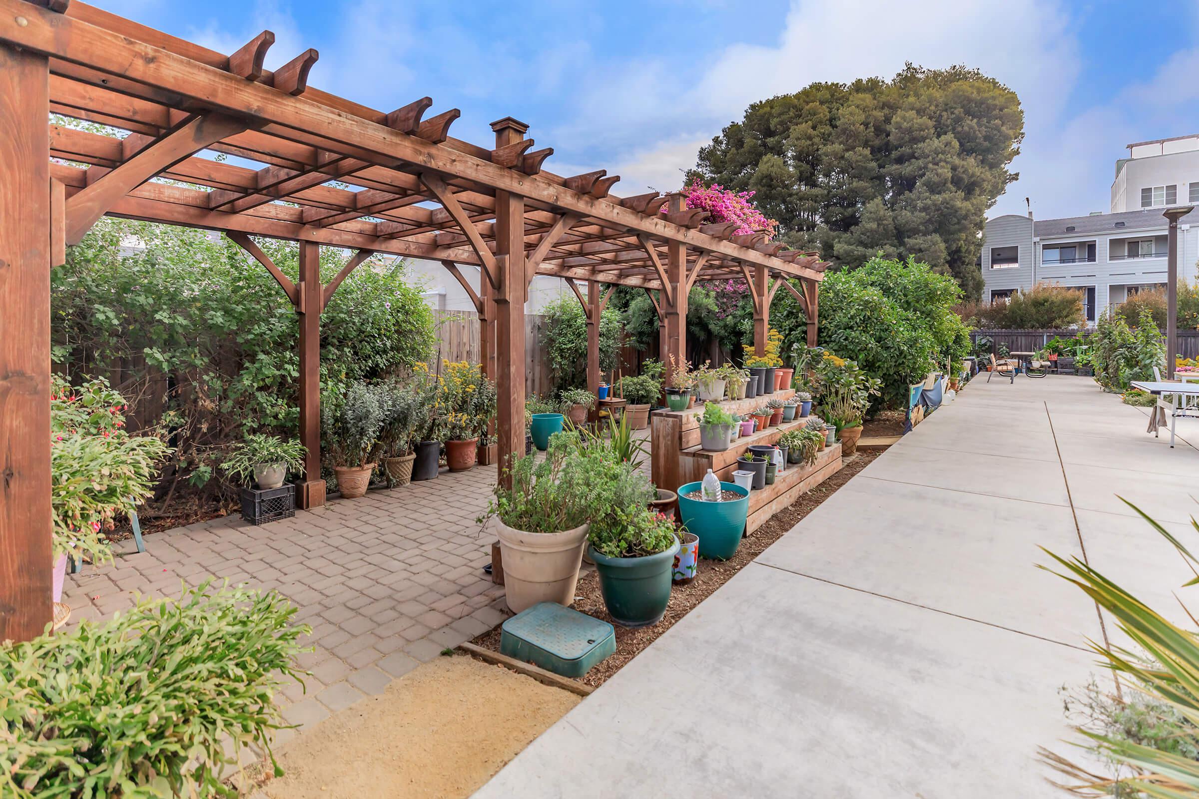 Pergola with green plants