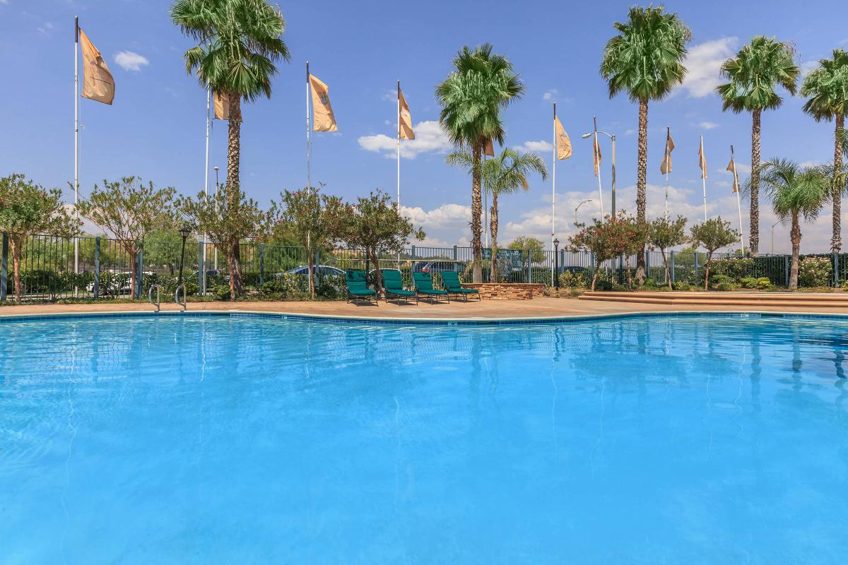 a group of palm trees next to a pool of water