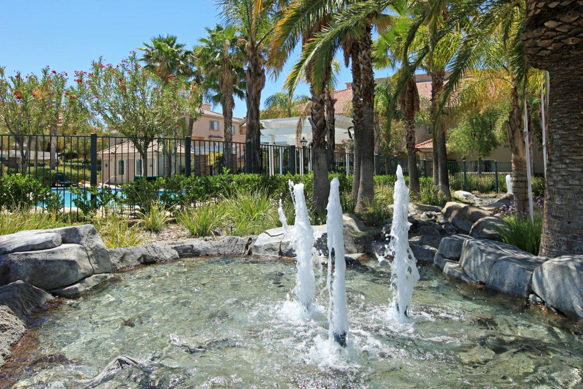 a group of palm trees on a rock