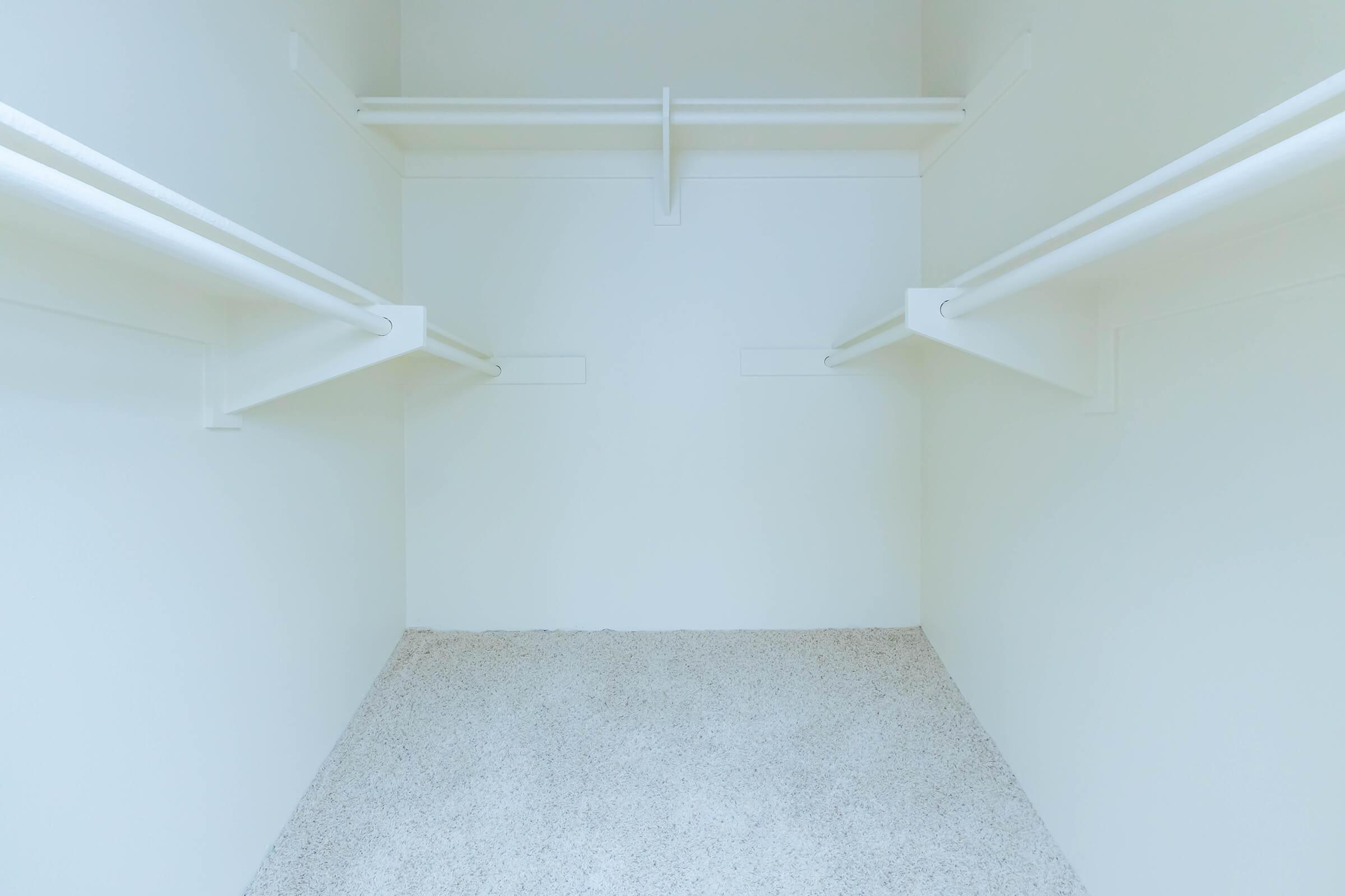 Empty closet with white walls and two horizontal clothing rods. The floor is covered in light gray carpet, creating a clean and spacious appearance.