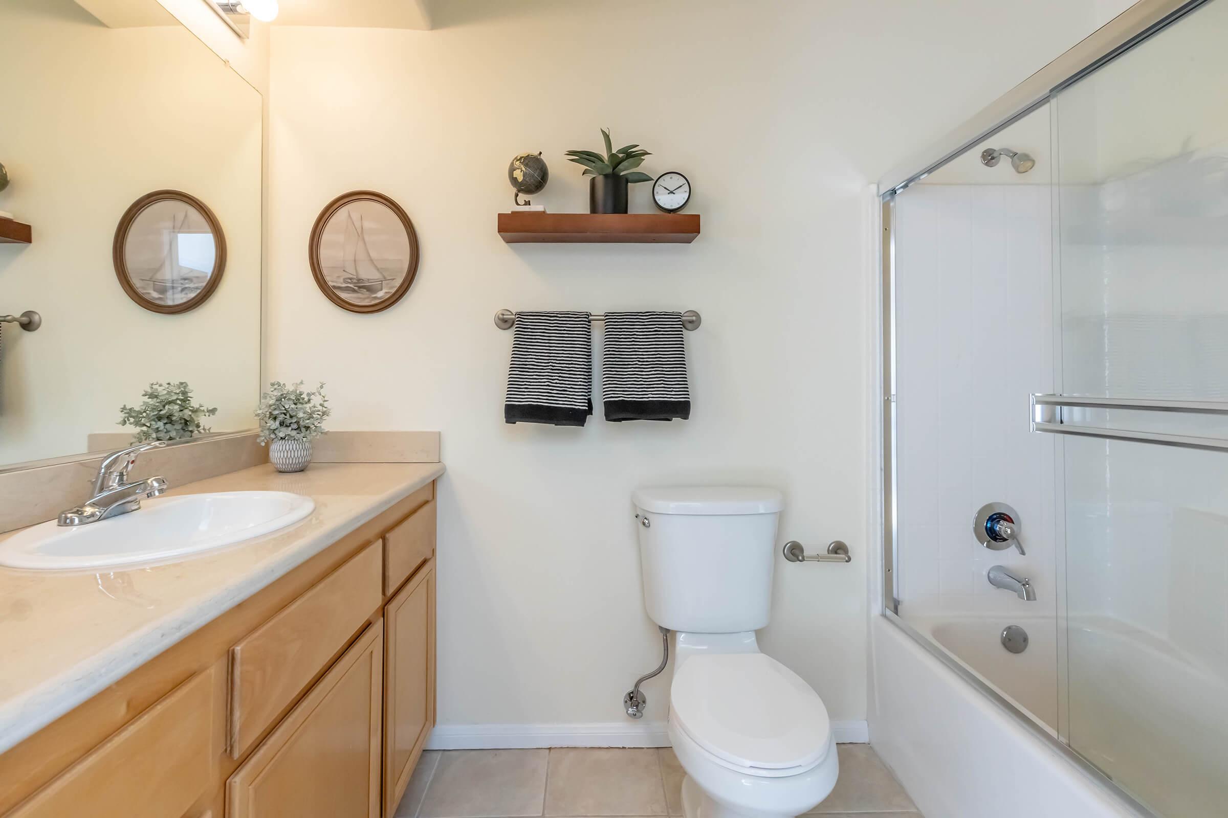 A clean and modern bathroom featuring a vanity with a sink, a toilet, and a glass shower. The walls are painted light, complemented by two round framed pictures. A shelf displays decorative plants and towels, adding a touch of style to the space.