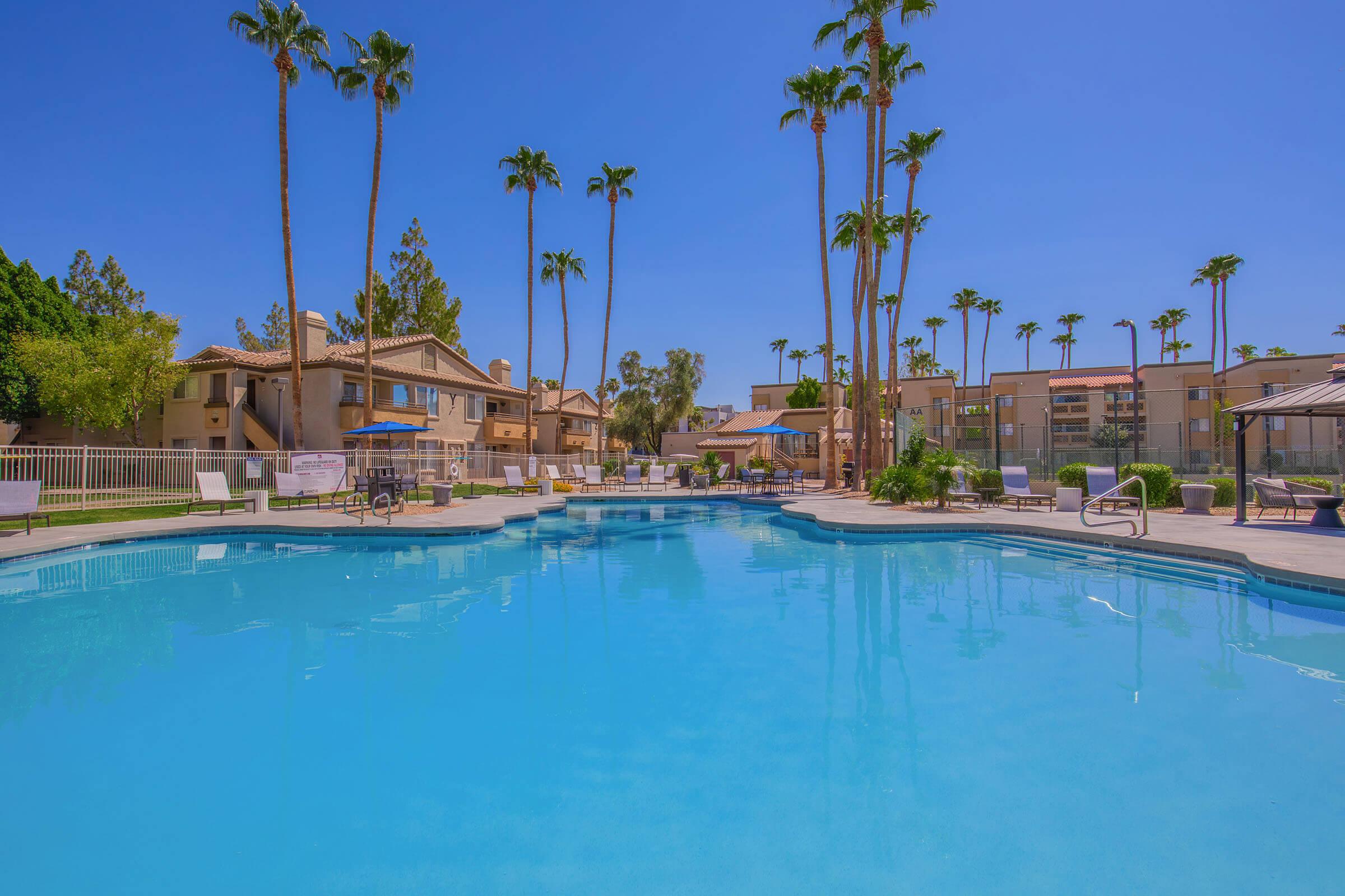 A serene swimming pool surrounded by palm trees, lounge chairs, and sun umbrellas, with clear blue water reflecting the bright blue sky. In the background, there are buildings and greenery, creating a relaxing outdoor atmosphere perfect for leisure and recreation.