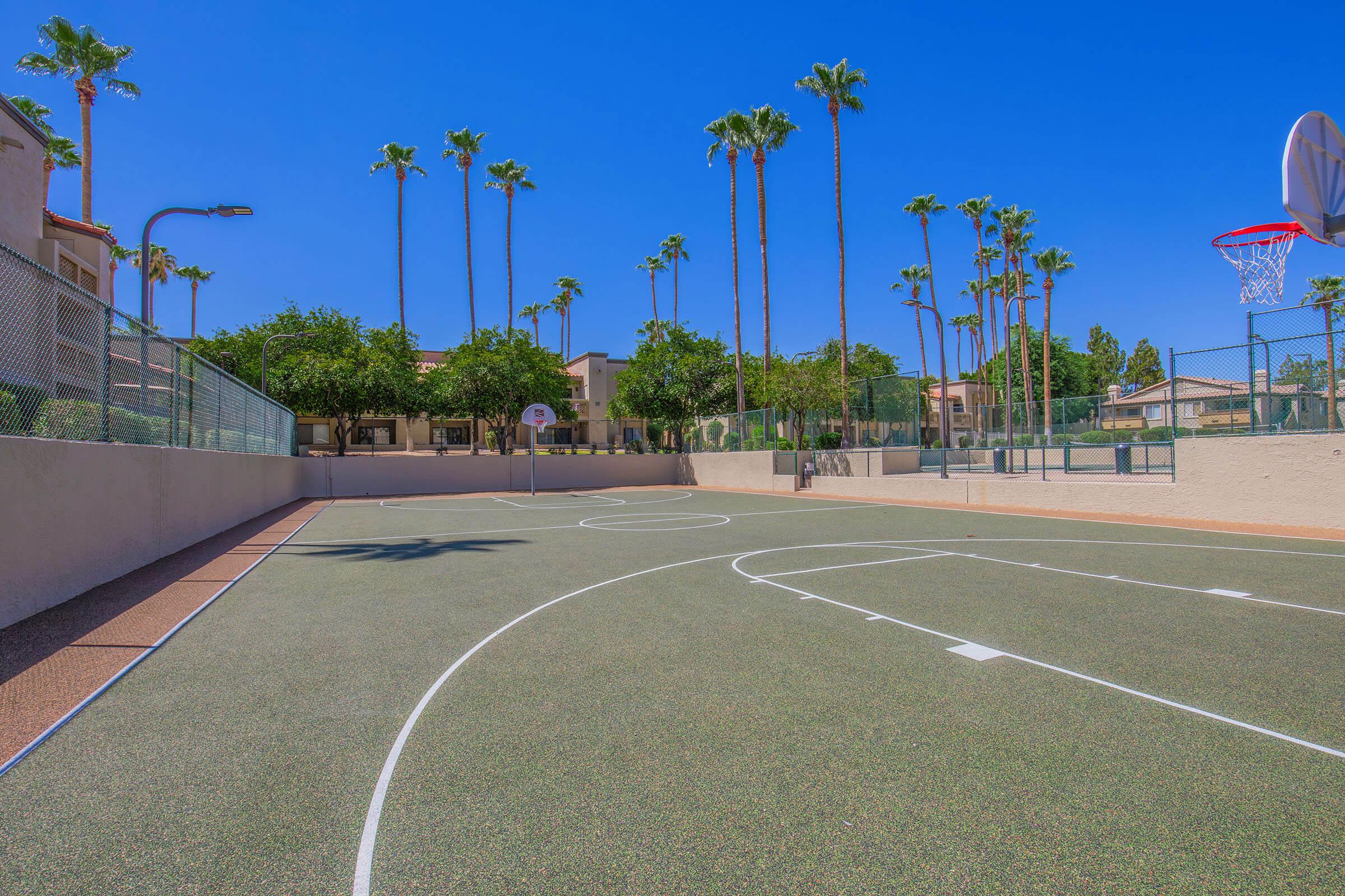 A basketball court surrounded by palm trees under a clear blue sky. The court features white lines and two basketball hoops on either end. Lush greenery and residential buildings are visible in the background, creating a vibrant and sunny atmosphere.