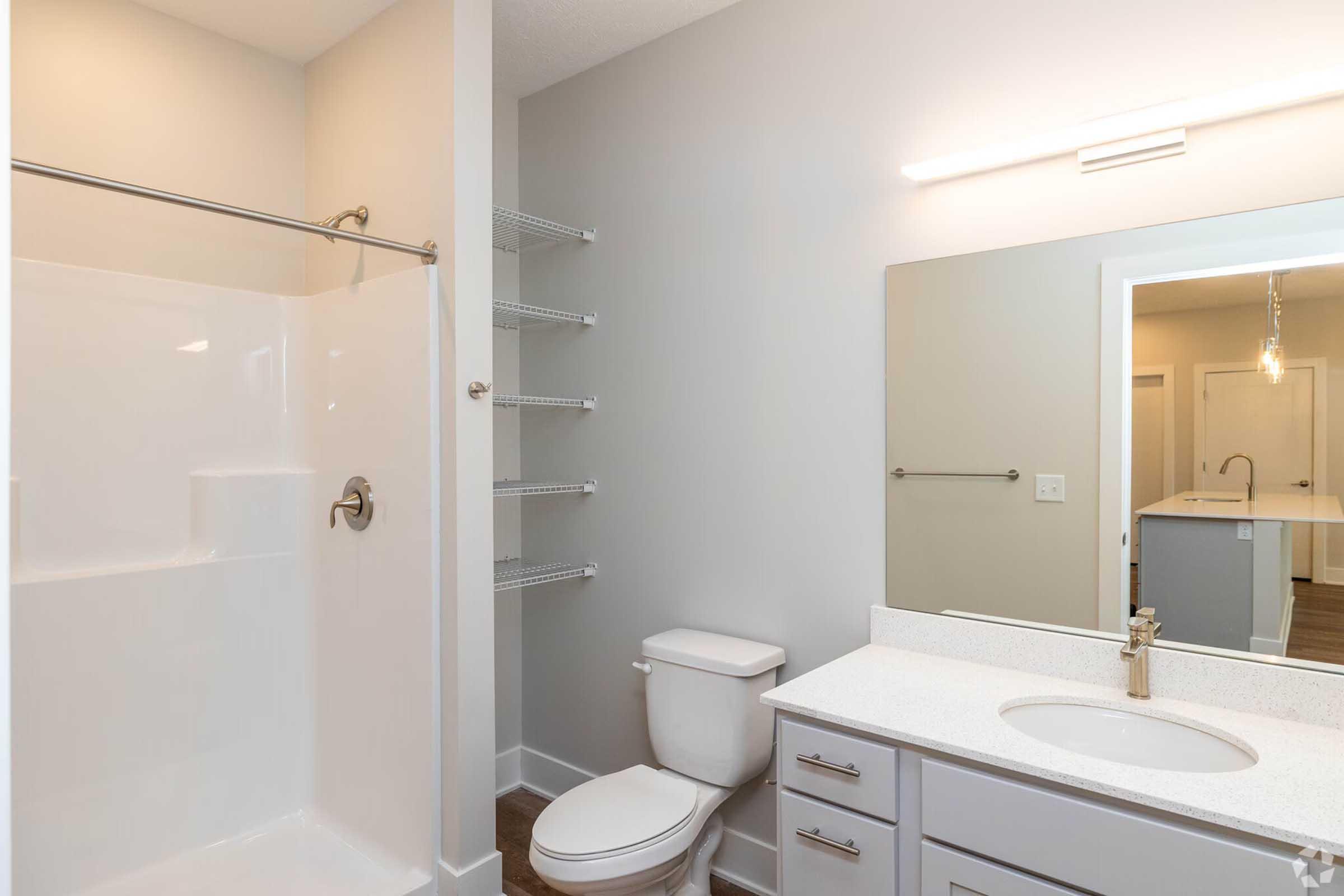 A modern bathroom featuring a walk-in shower with a glass door, a toilet, and a vanity with a sink. The walls are painted light gray, and there's a large mirror above the sink. Open shelving is mounted on the wall, providing storage space. The flooring is dark wood, adding contrast to the light-colored fixtures.