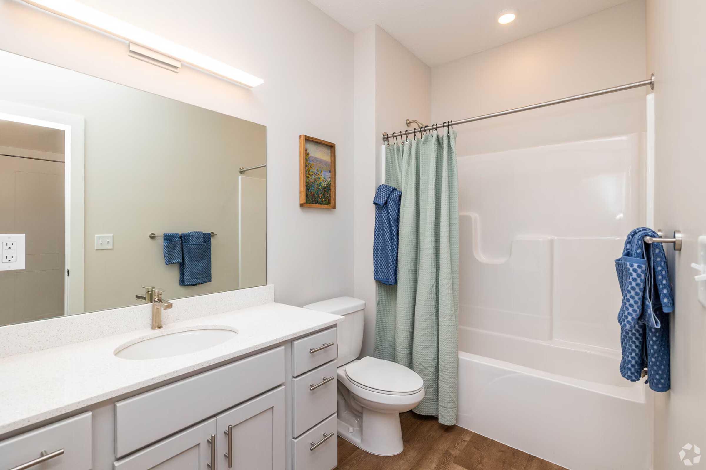A bright, modern bathroom featuring a white tub with a shower, light gray cabinetry, a large mirror above the sink, and soft-colored towels hanging on a rack. The walls are light-colored, and a small piece of artwork adds a touch of decor. The flooring is a warm wood tone.