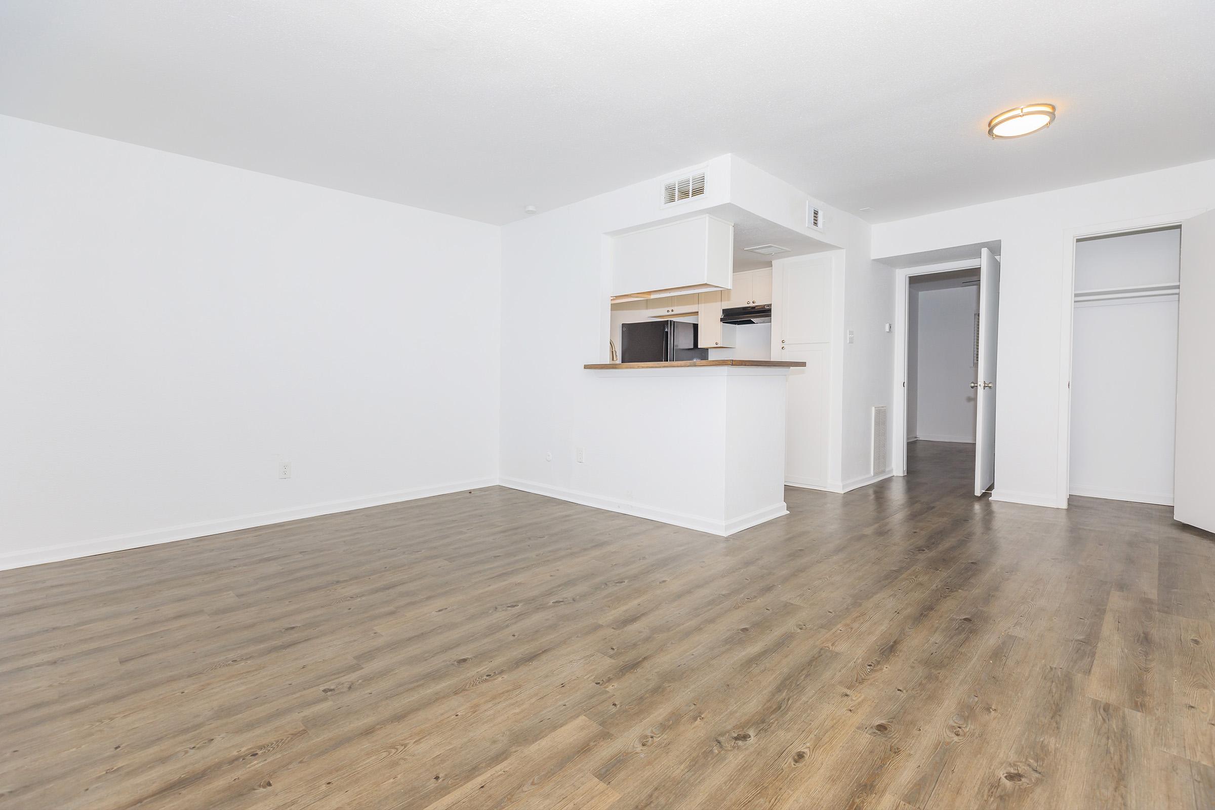 Interior view of a modern, empty apartment with light hardwood flooring. The space features a small kitchen area with a kitchen counter and an entrance to a hallway leading to a closet. The walls are painted in a light color, and there is a ceiling light fixture.