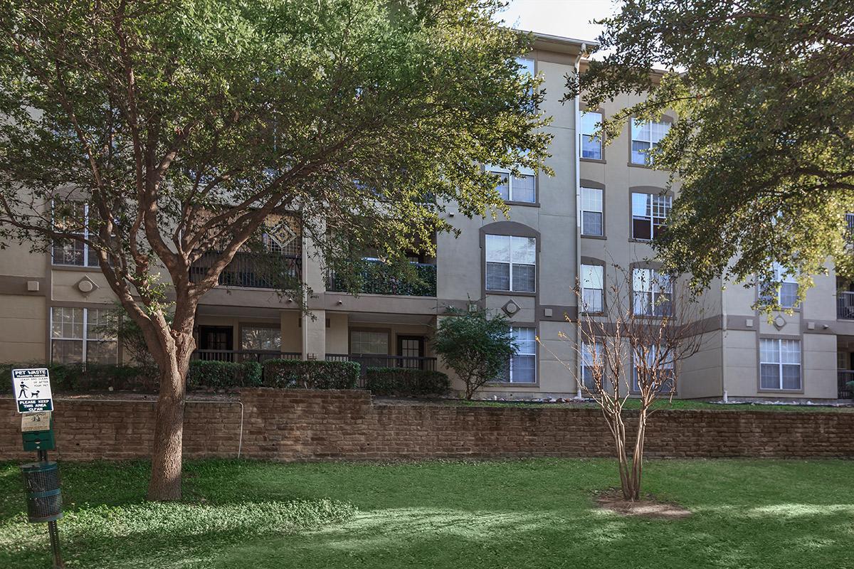 a large lawn in front of a tree