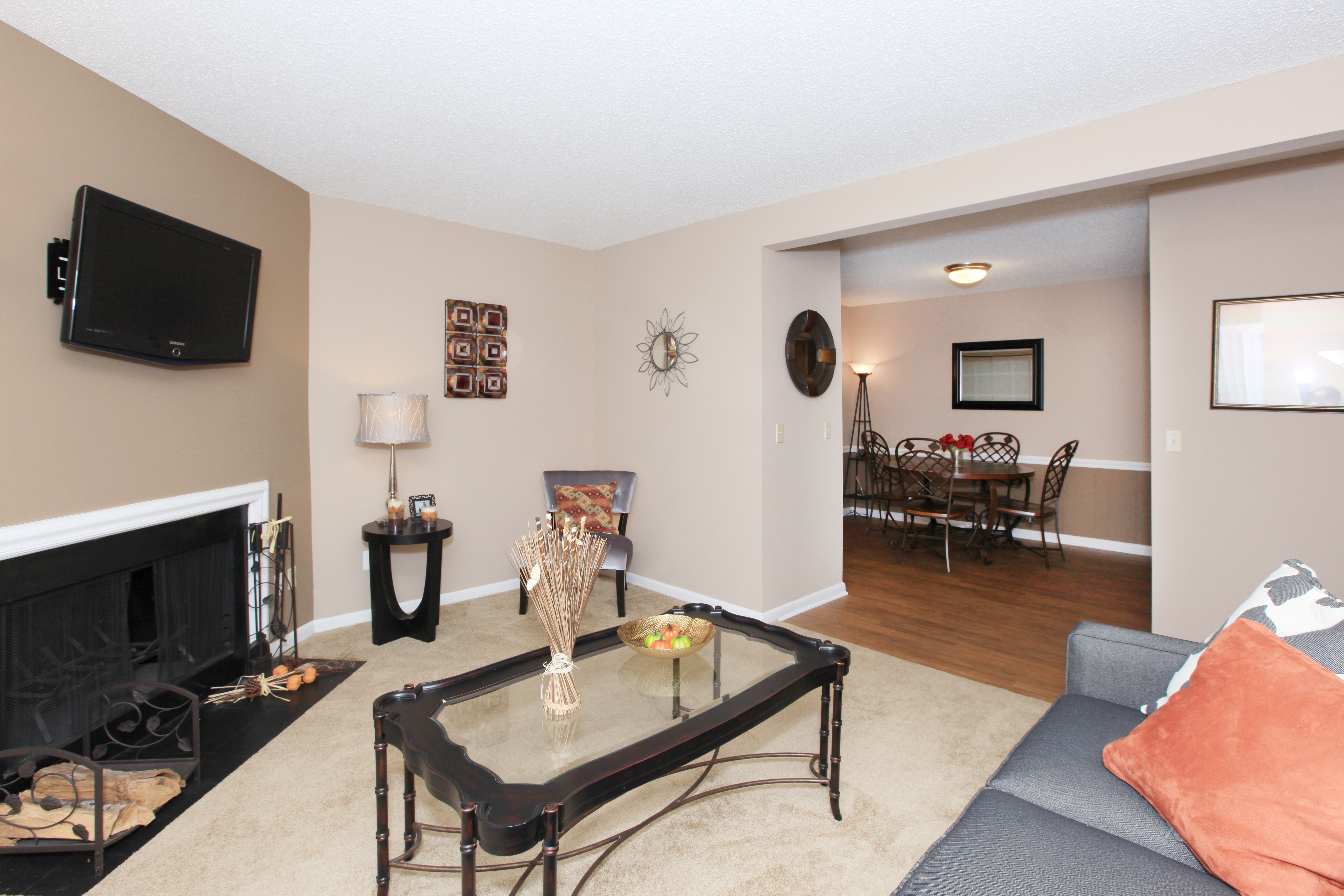 Apartment Features