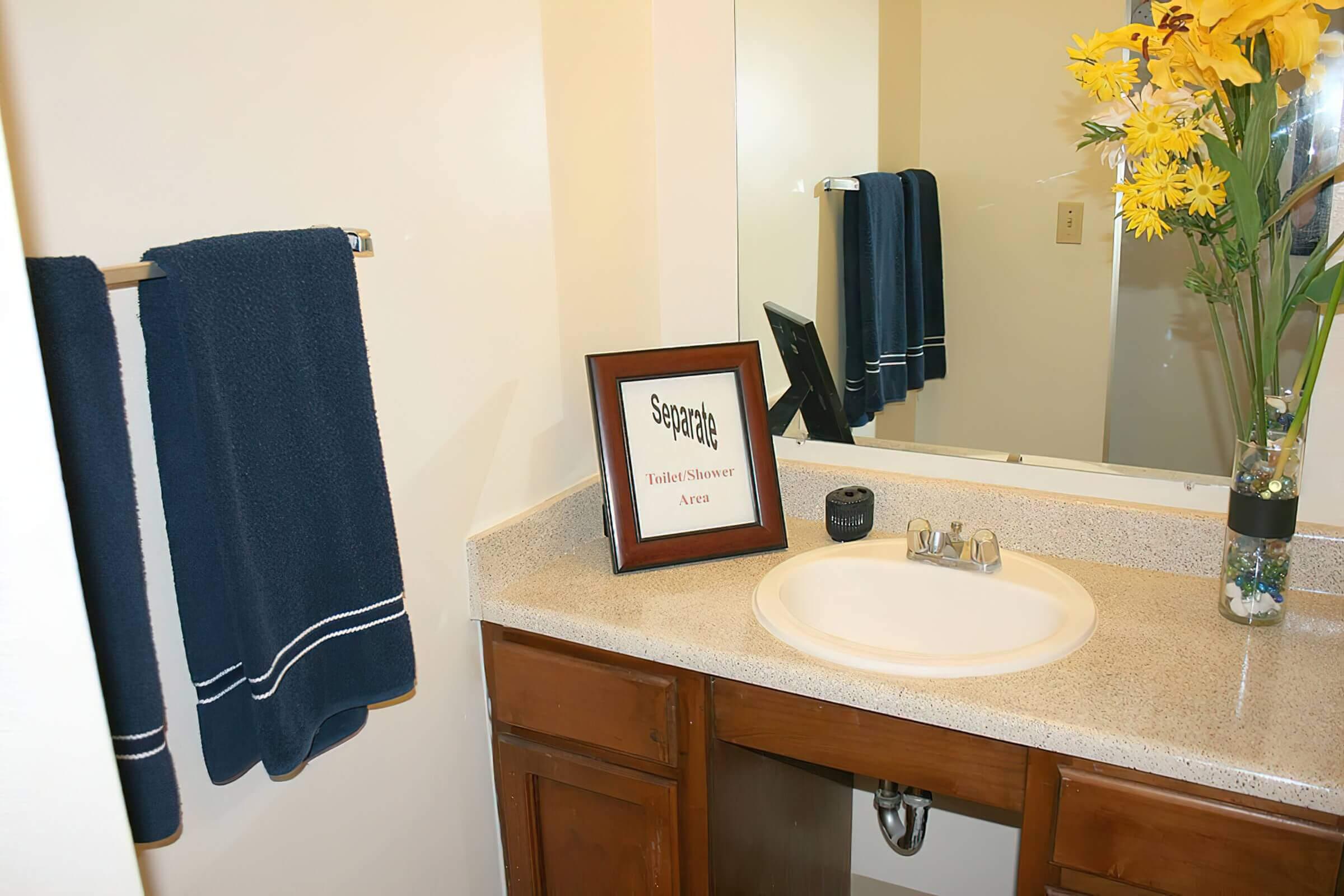 a room with a sink and a mirror