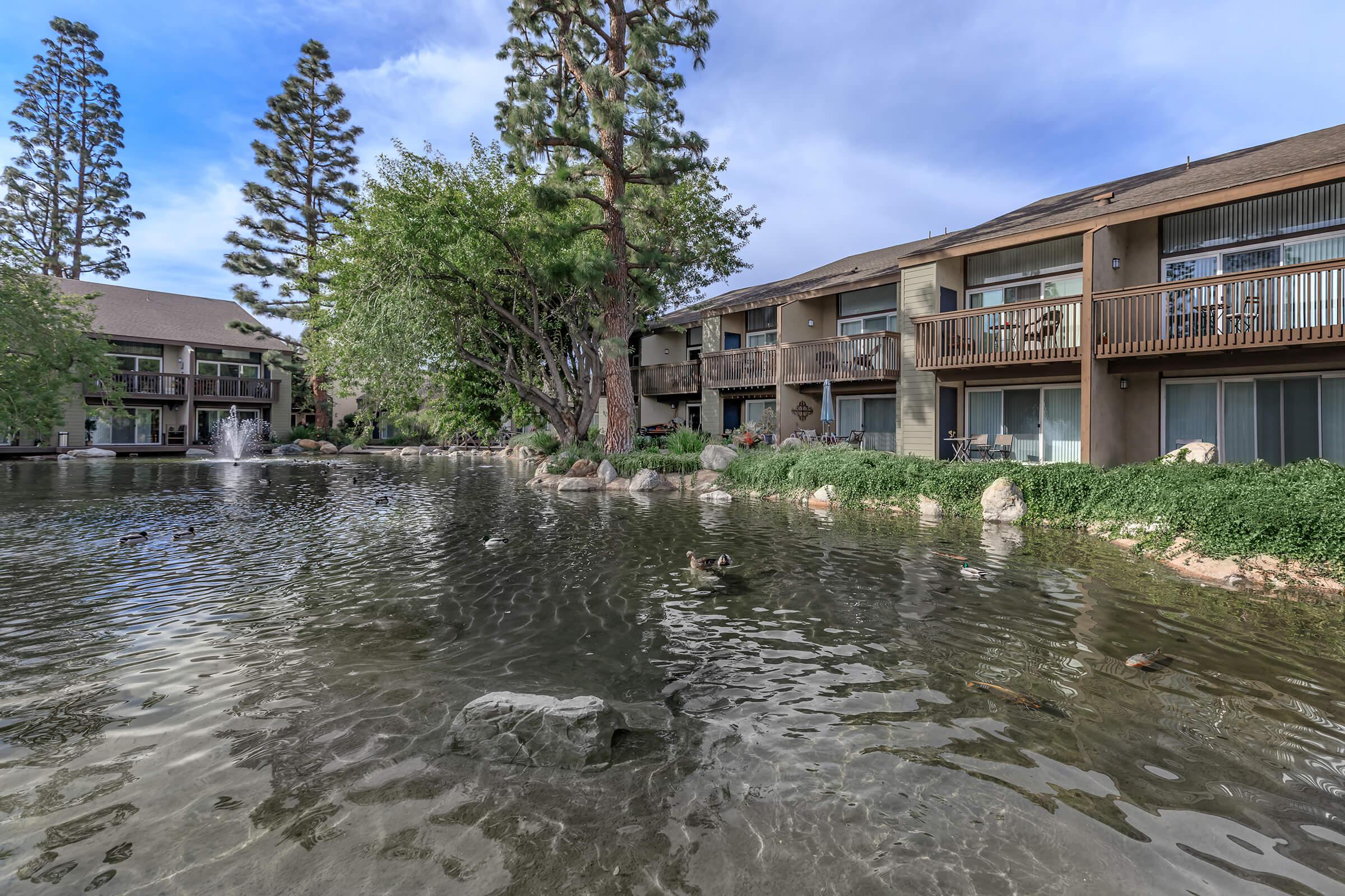 Landscaping at The Lake in Fullerton, CA