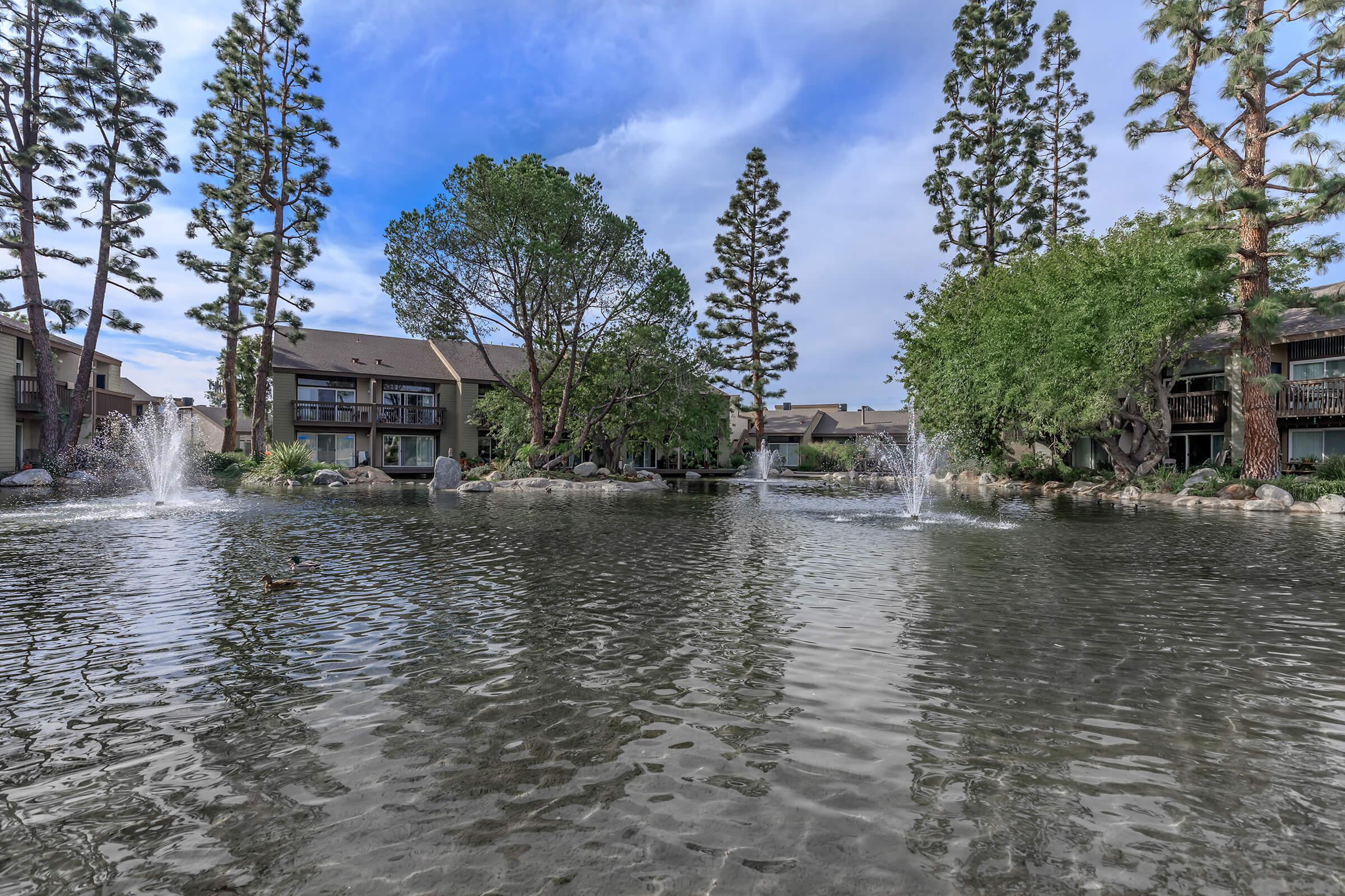 Landscaping at The Lake in Fullerton, CA