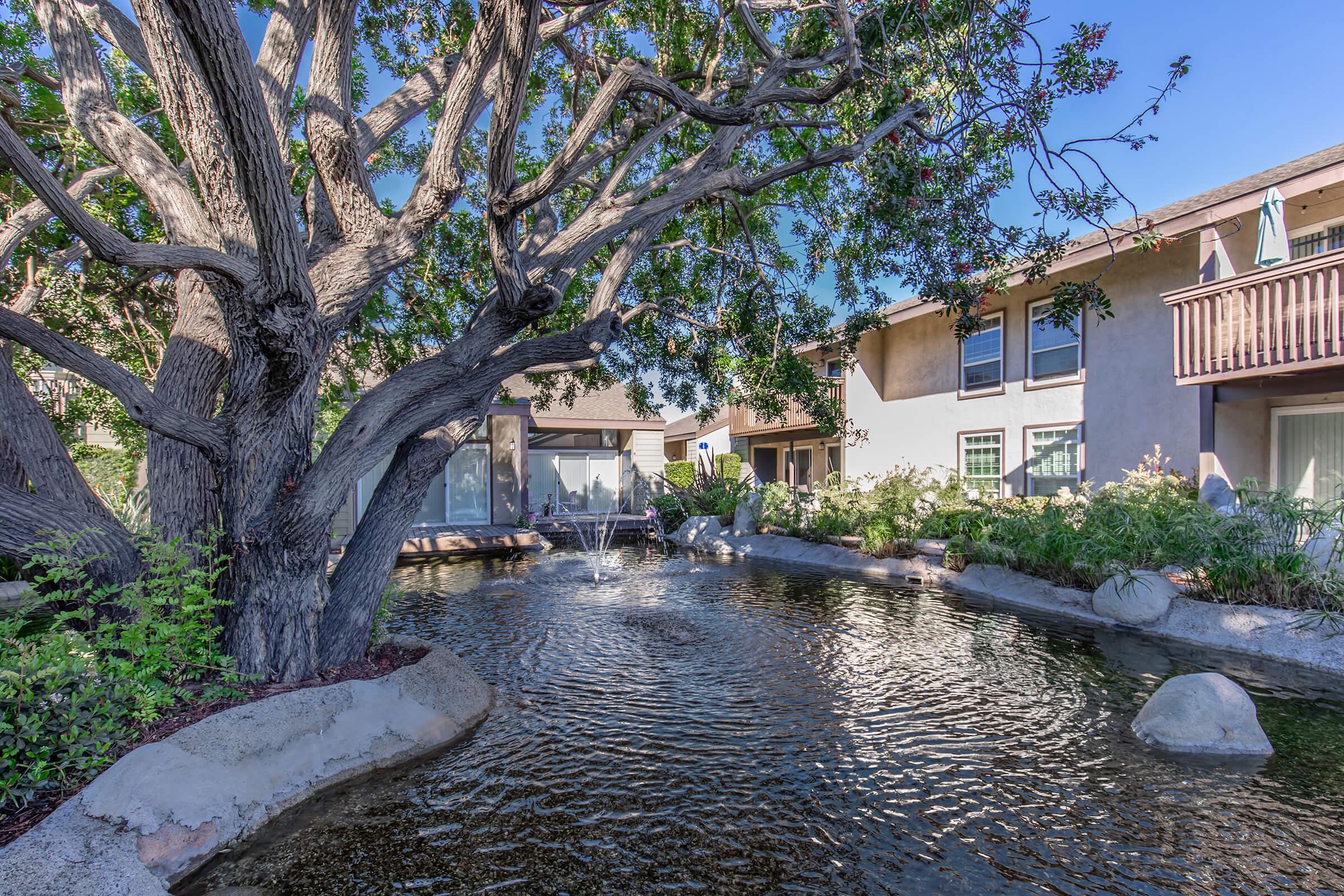 A serene backyard view featuring a large tree, a pond with gentle ripples, and a water fountain. The surrounding landscape includes lush greenery and rocks, while modern houses with balconies are visible in the background under a clear blue sky.