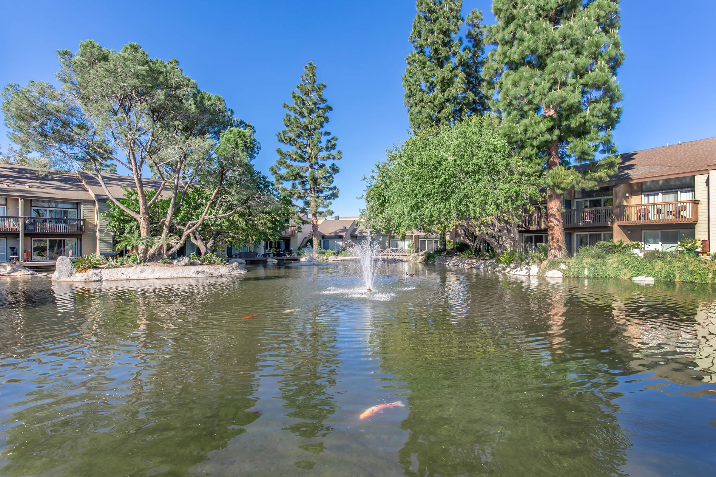 A serene pond surrounded by lush greenery and tall trees, featuring a fountain that creates gentle ripples in the water. Apartment buildings are visible in the background, enhancing the tranquil atmosphere. Colorful koi fish can be seen swimming in the clear water.