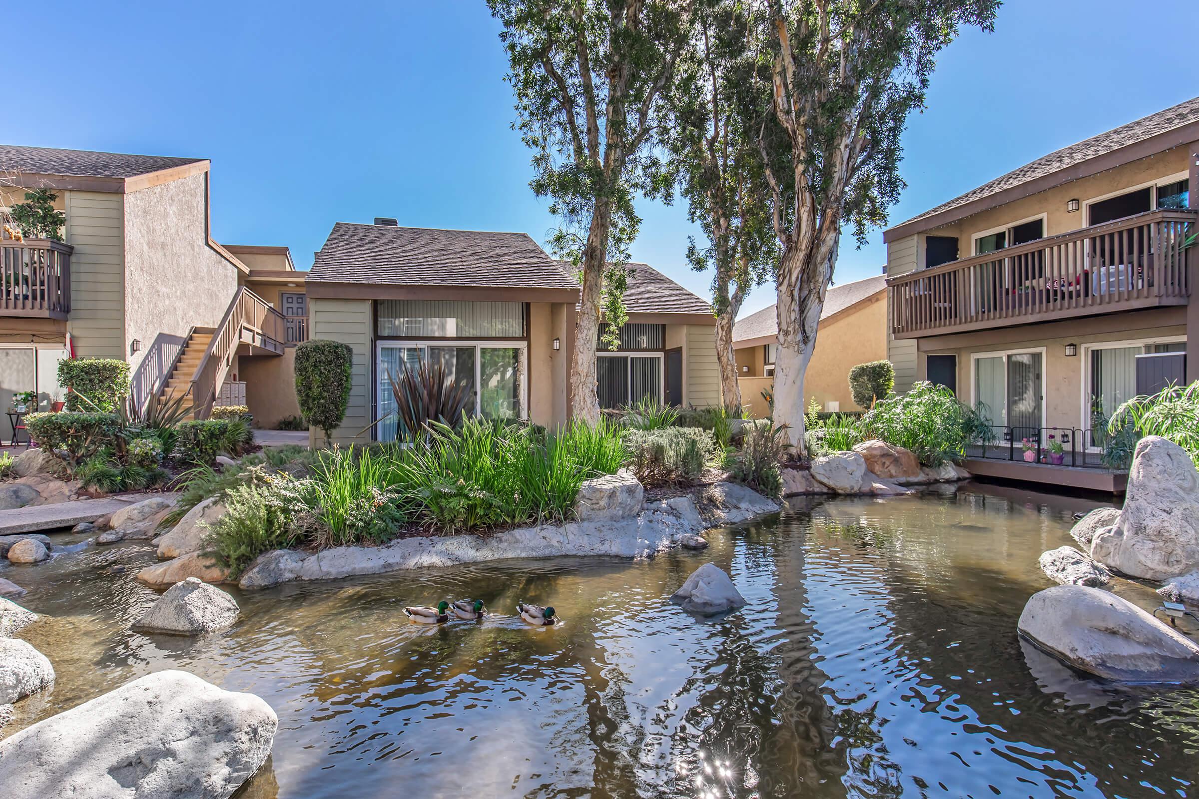 A tranquil courtyard with a pond surrounded by lush greenery and rocks, featuring two ducks swimming. Flanking the pond are two residential buildings with balconies, all under a clear blue sky. The setting is peaceful and inviting, ideal for relaxation.