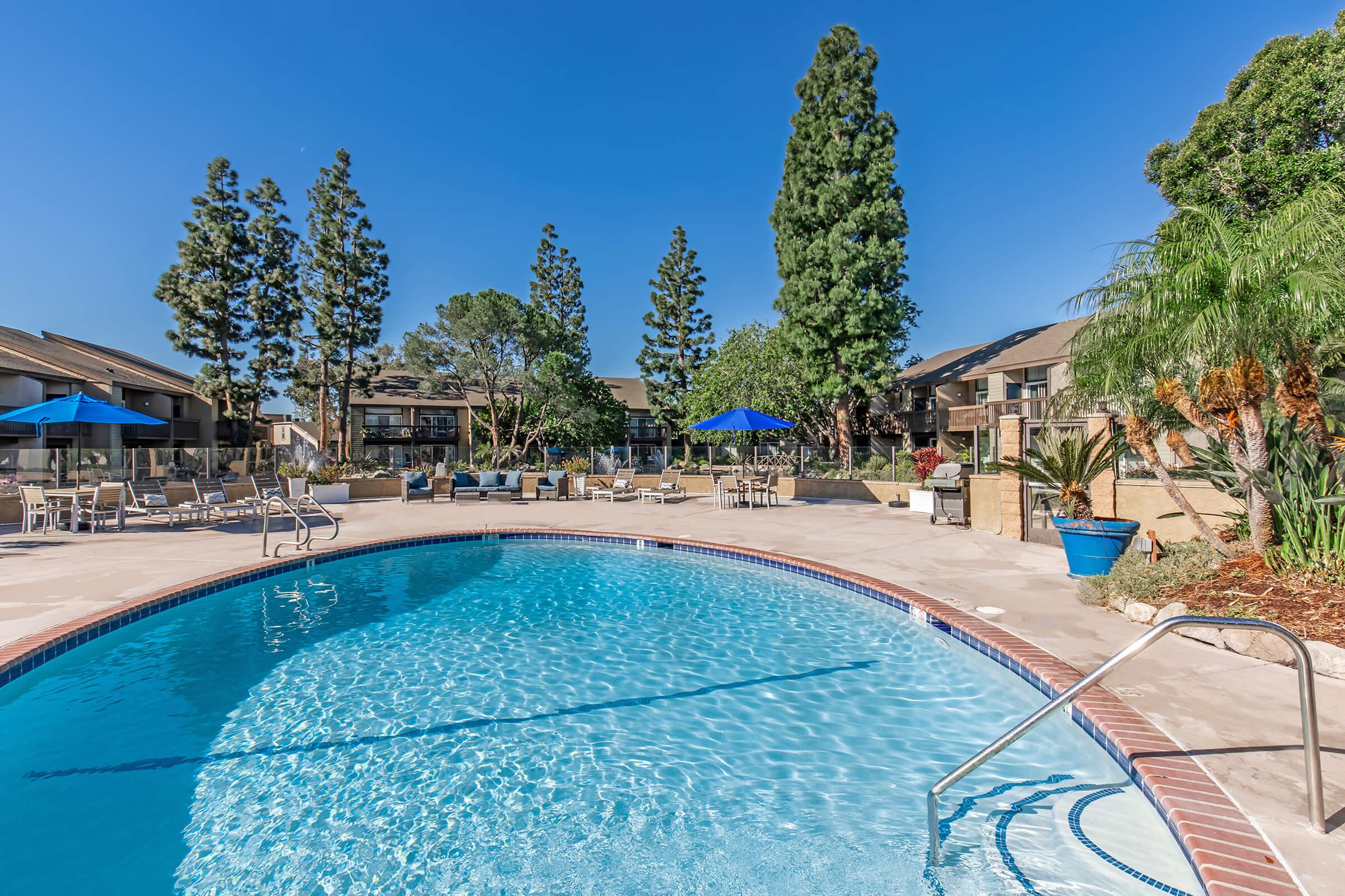 A clear blue swimming pool surrounded by lounge chairs and umbrellas, with tall trees in the background. The setting is sunny, creating a relaxed and inviting atmosphere for outdoor leisure.
