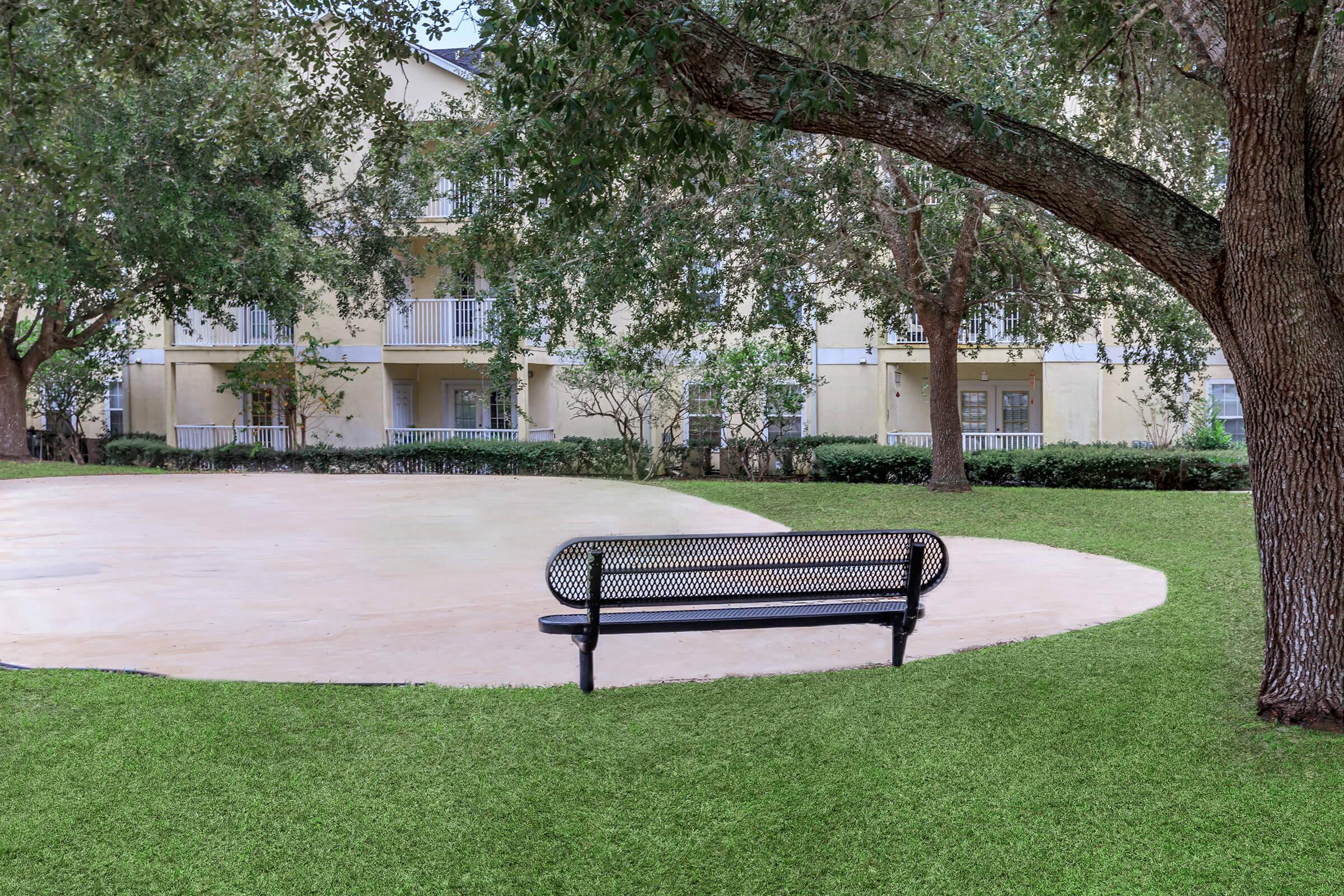an empty park bench sitting in front of a tree