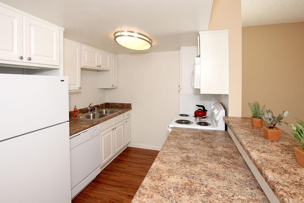 a kitchen with a stove and a refrigerator