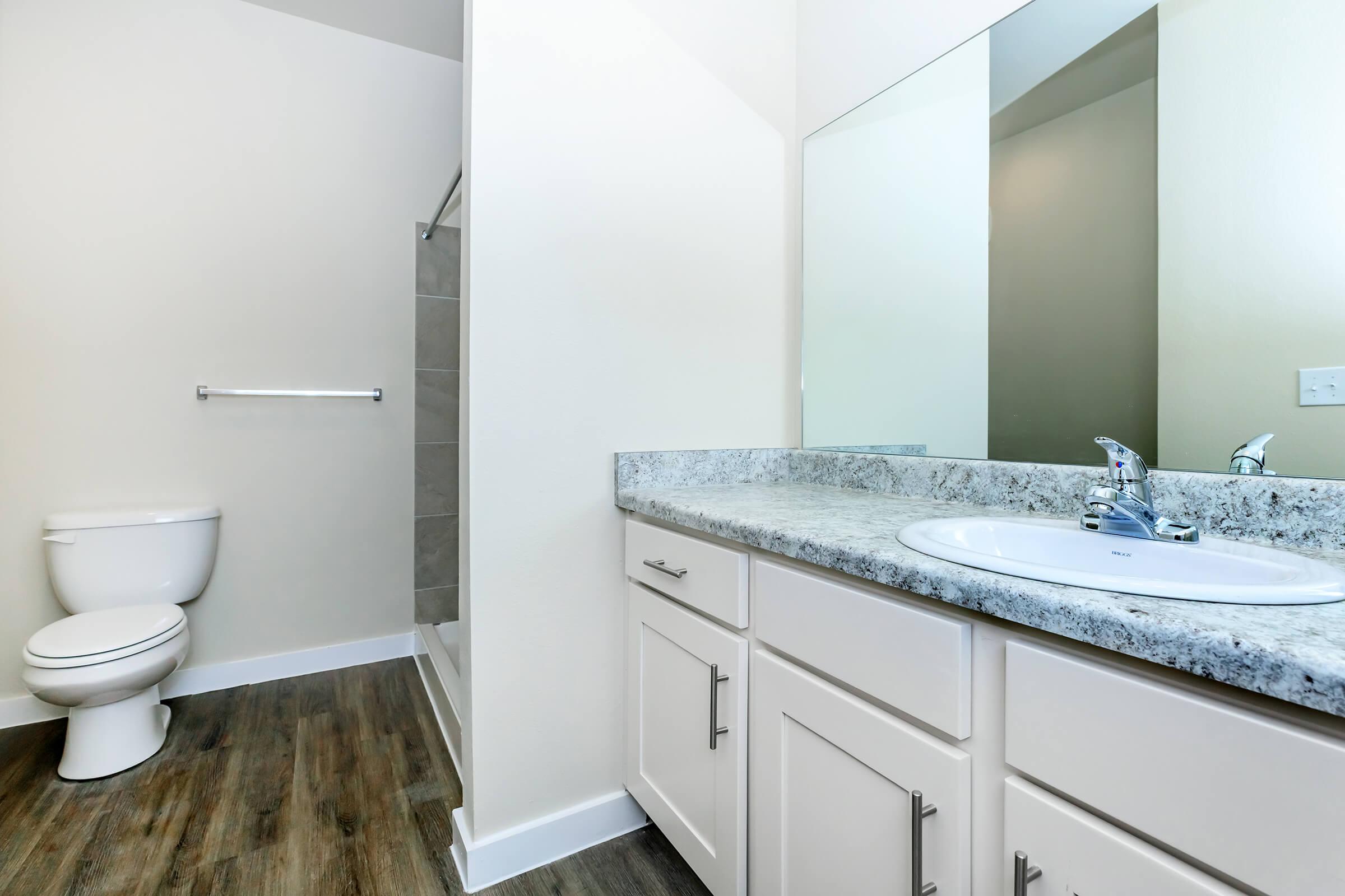 Apartments in Leander TX - Hills at Leander Expansive Bathroom with a Large Vanity, Shower, and Much More