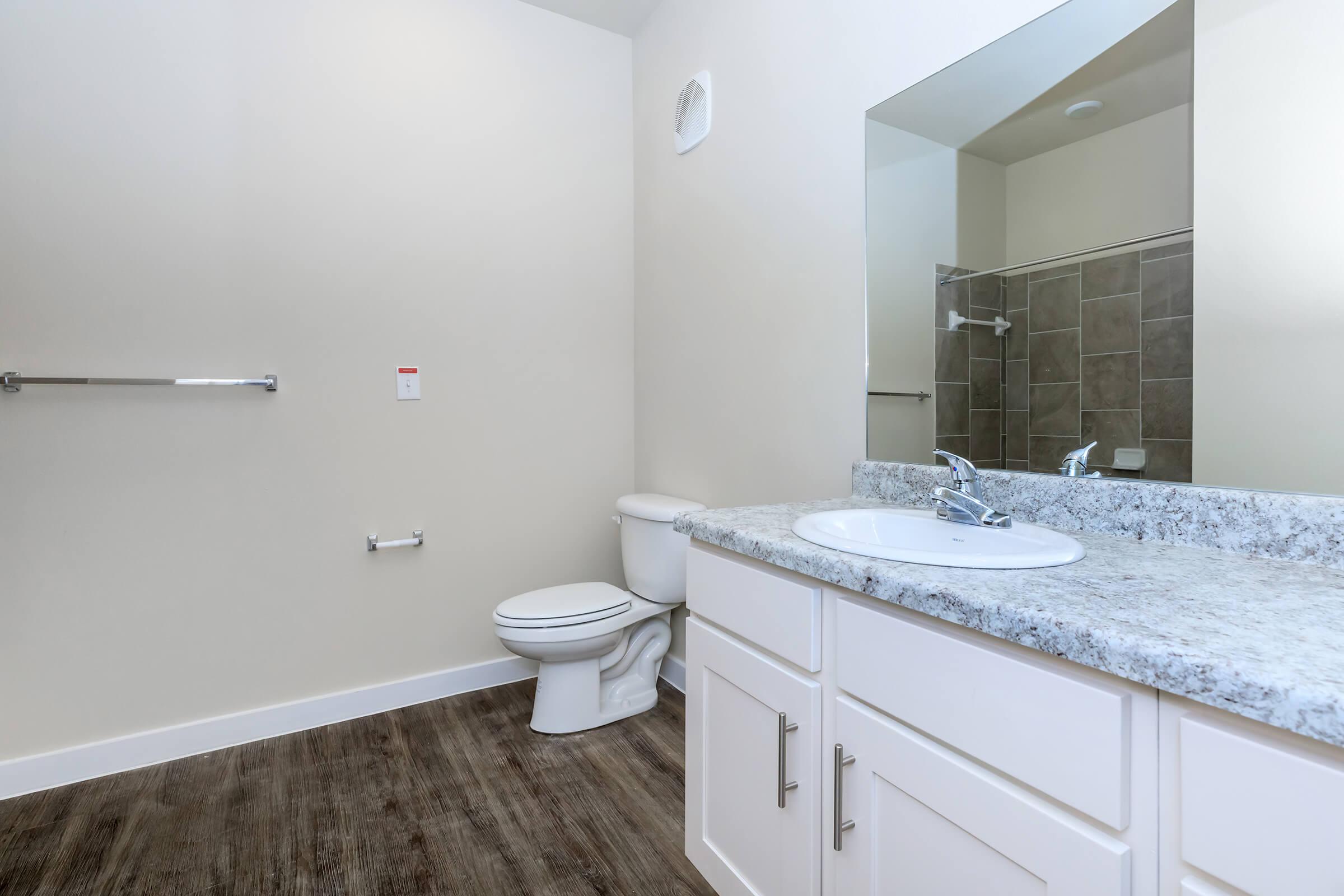 Apartments in Leander TX - Hills at Leander Expansive Bathroom with a Large Vanity, Shower, and Much More