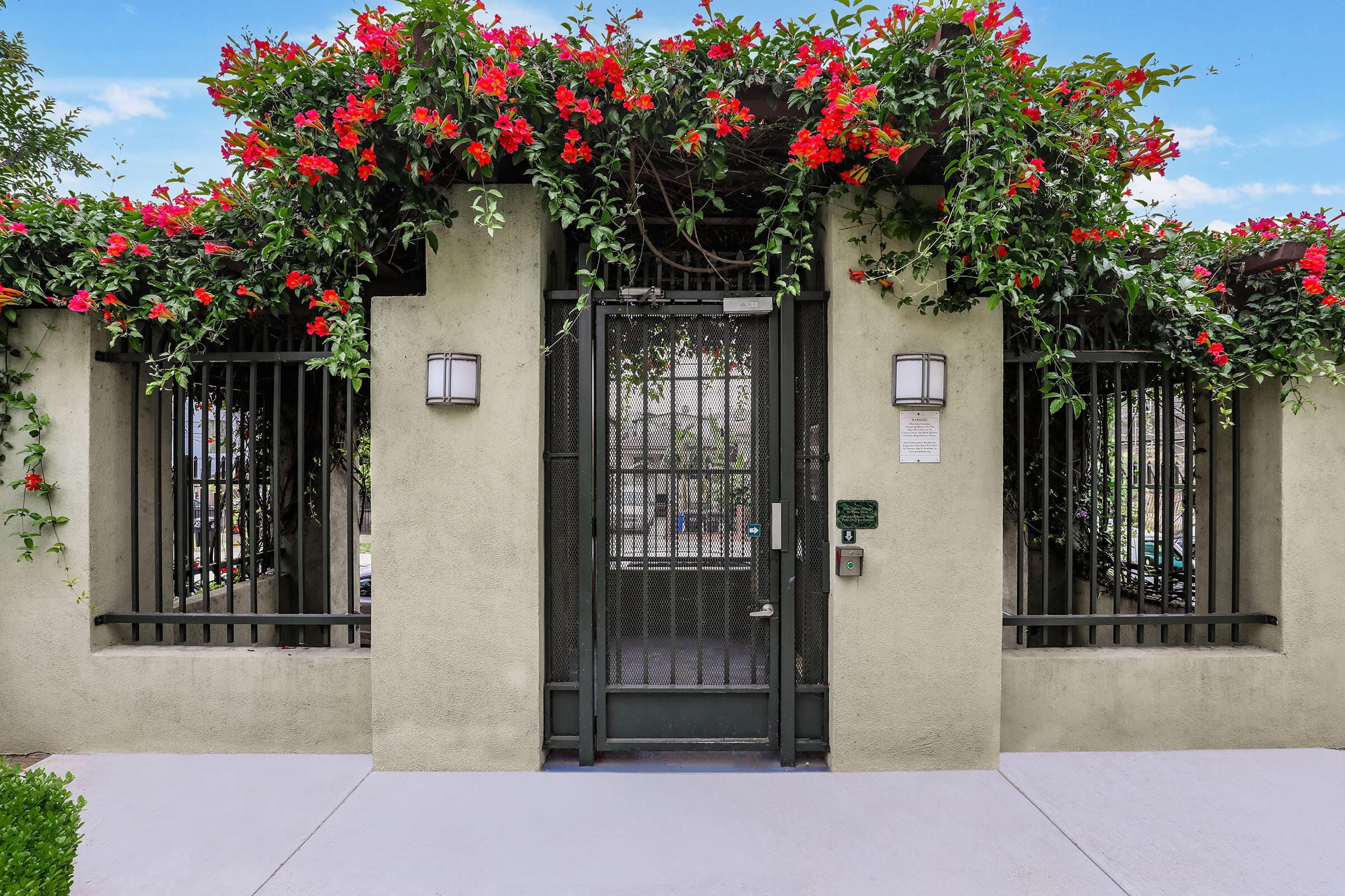 a pink flower is standing in front of a building