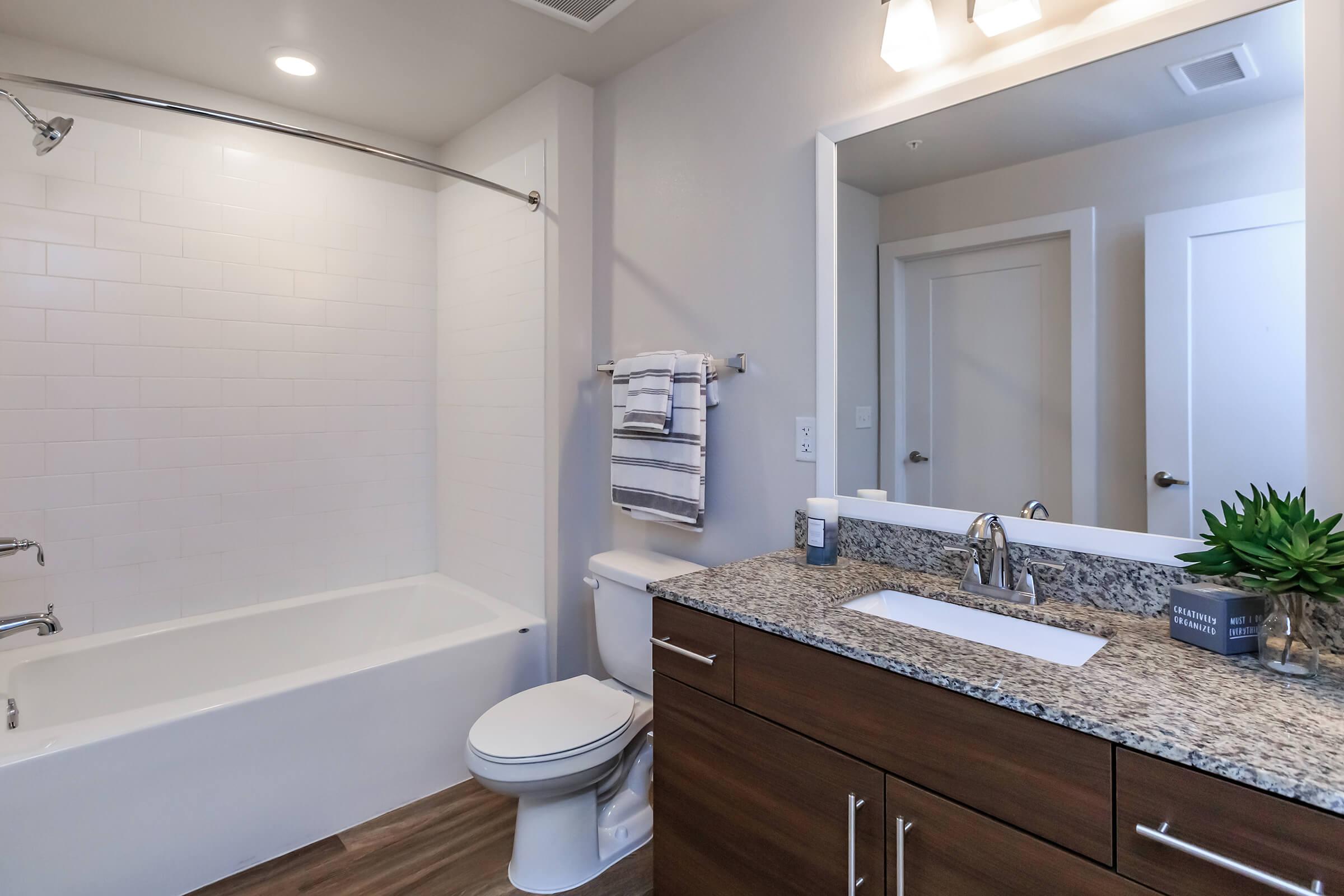 a double sink and large mirror