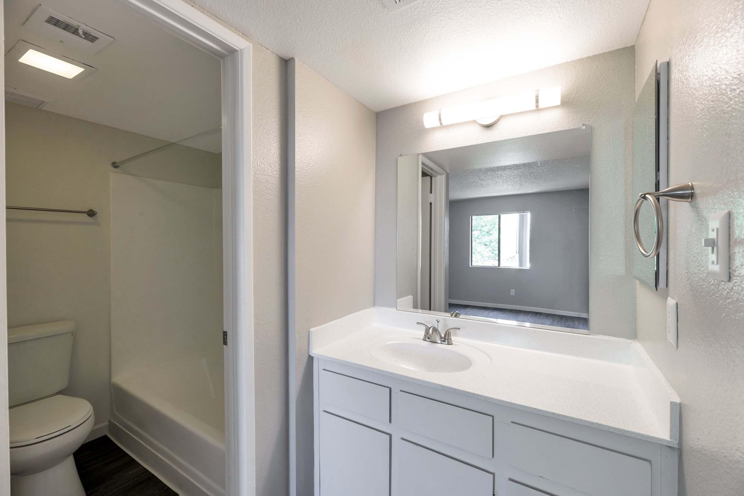 a shower that has a sink and a mirror