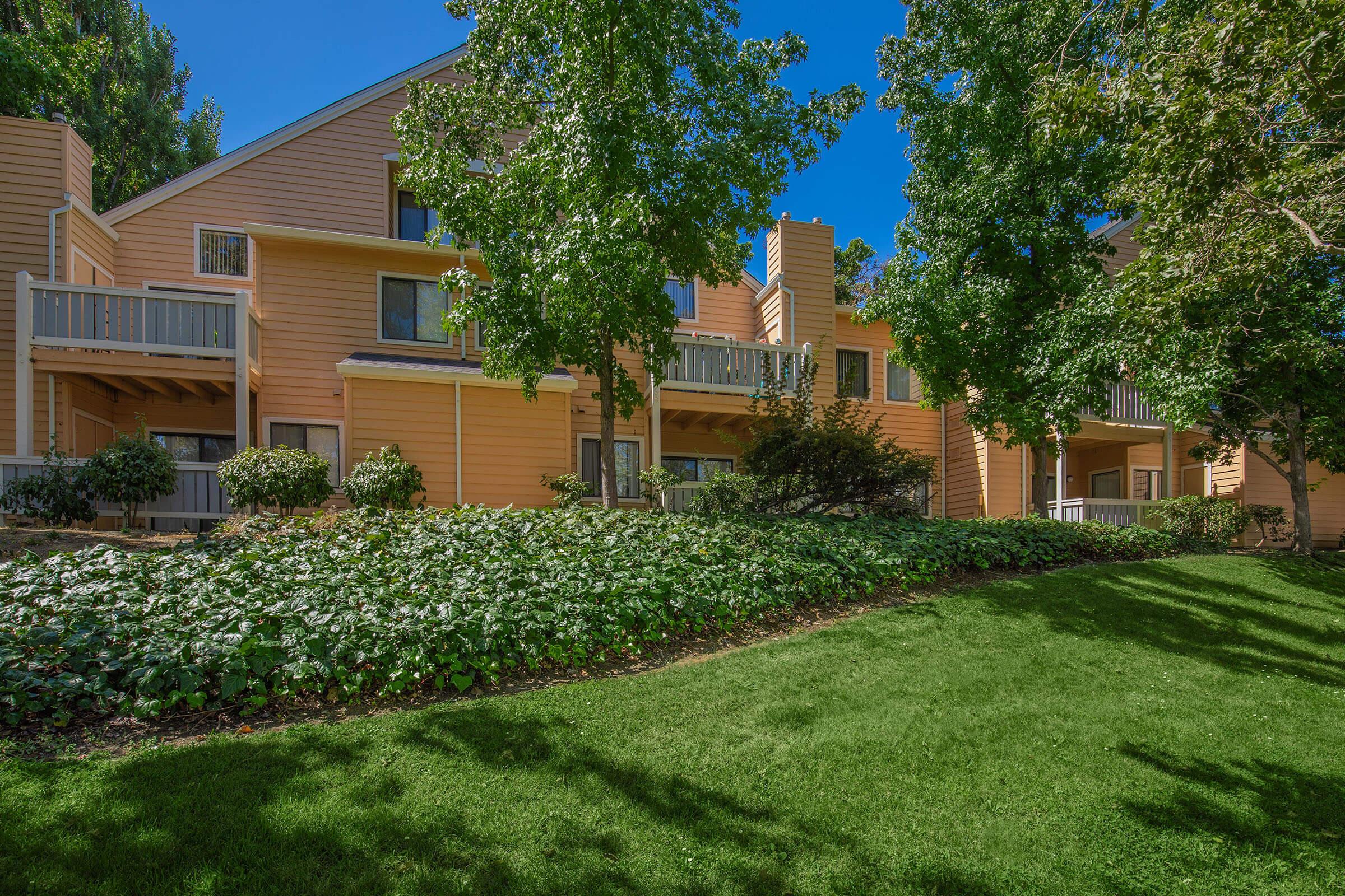 a large lawn in front of a house