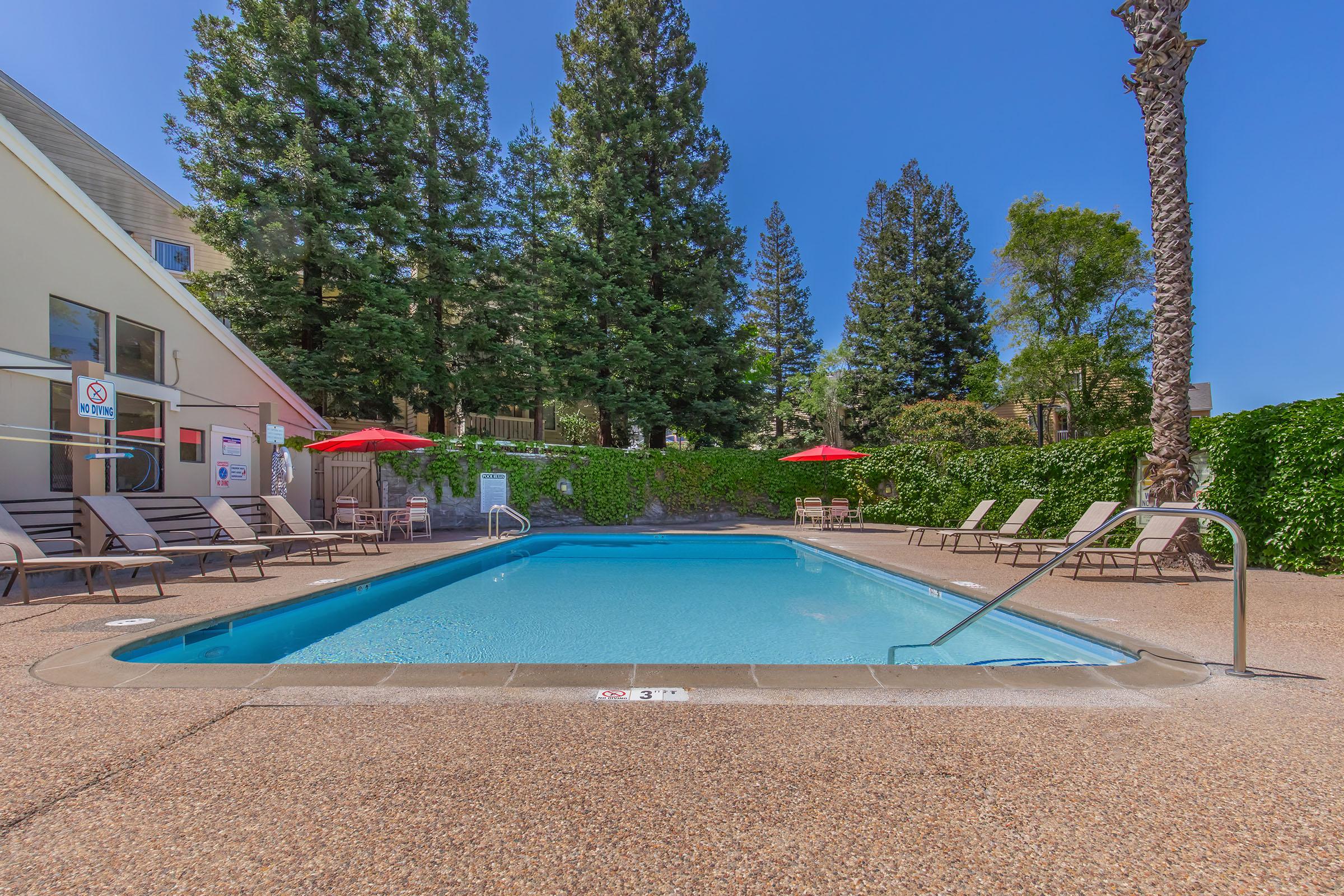 A clean, inviting swimming pool surrounded by lounge chairs and red umbrellas. Lush green trees and hedges provide a natural backdrop, with clear blue skies above. The area appears tranquil and perfect for relaxation.