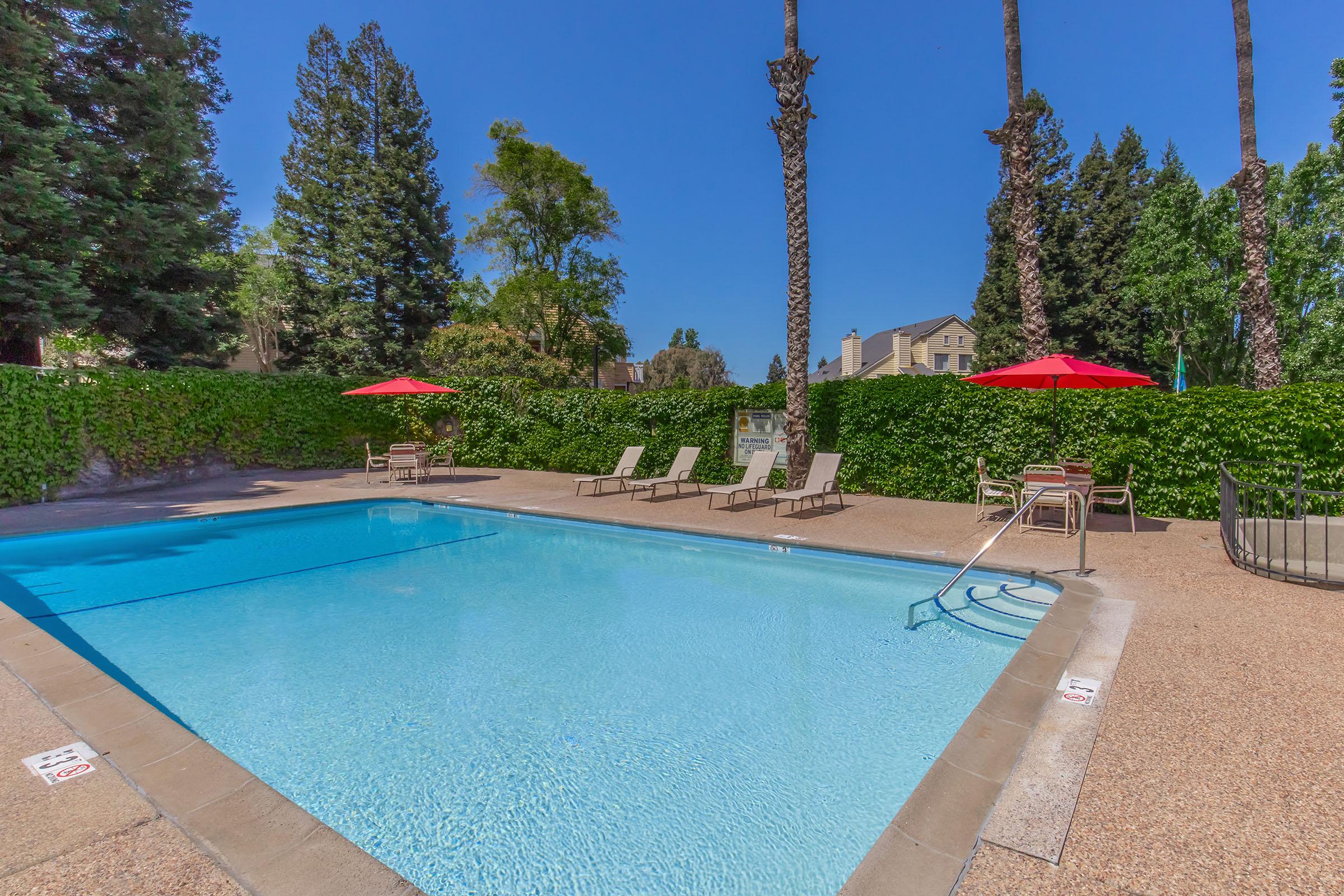 A serene outdoor swimming pool surrounded by palm trees and lush greenery. There are several lounge chairs with red umbrellas positioned around the pool, creating a relaxing atmosphere. The sky is clear and blue, adding to the tranquil setting.