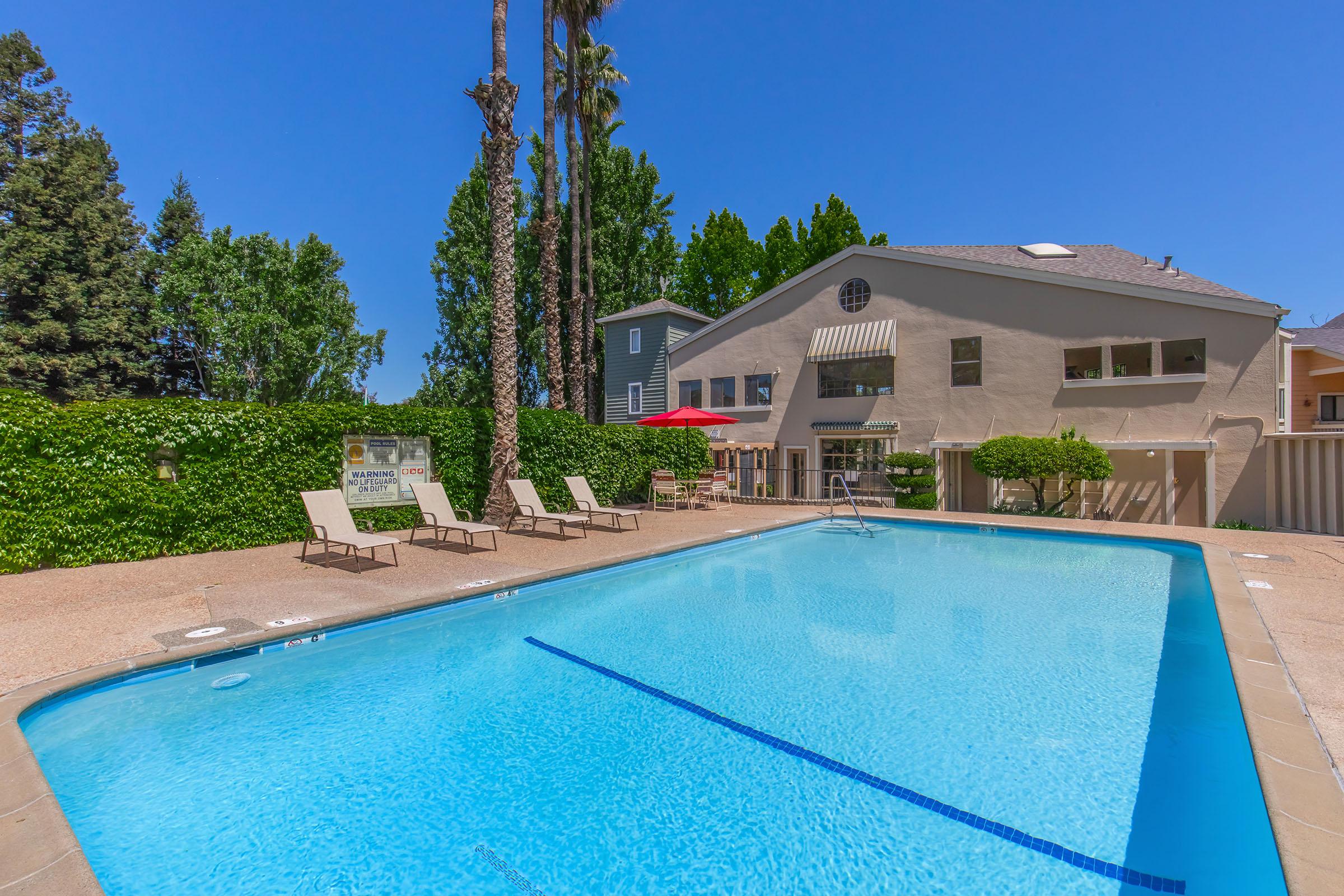 A clear blue swimming pool in a sunny outdoor area, with lounge chairs lining the edge. In the background, there is a well-maintained building with large windows and a shaded patio beneath a red umbrella. Lush green trees and shrubs surround the pool, creating a relaxing atmosphere.