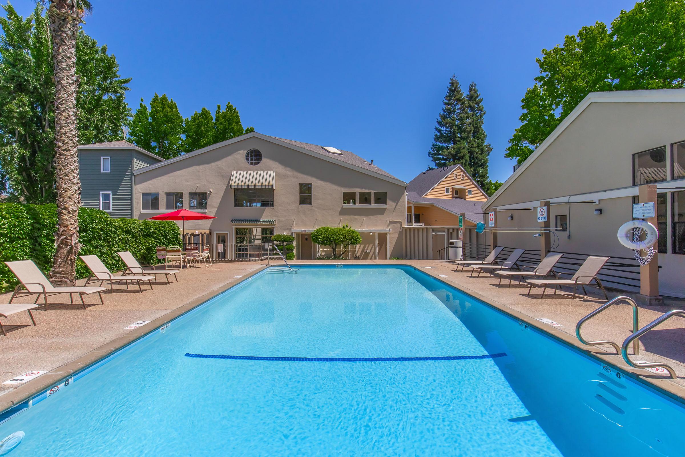 A clear blue swimming pool surrounded by lounge chairs, with palm trees and nearby buildings. The scene is under bright sunlight, showcasing a pleasant outdoor space perfect for relaxation and leisure.