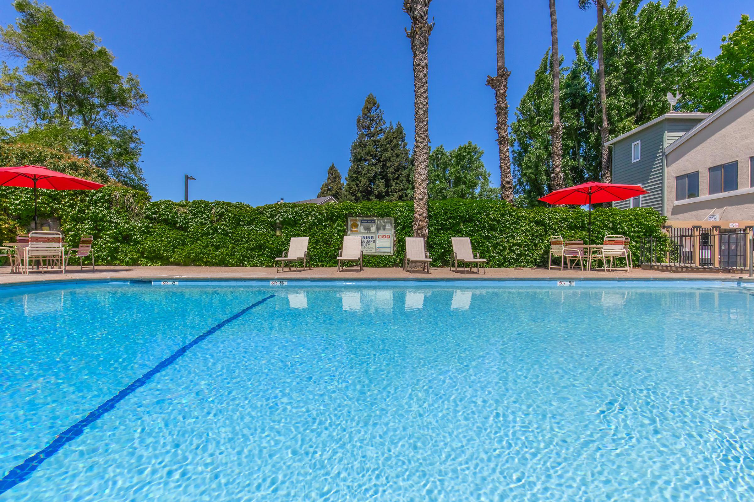 A clear, blue swimming pool surrounded by lounge chairs and red umbrellas. Lush greenery and palm trees are visible in the background, with a sunny blue sky overhead. The pool area is inviting and well-maintained, ideal for relaxation and enjoyment.