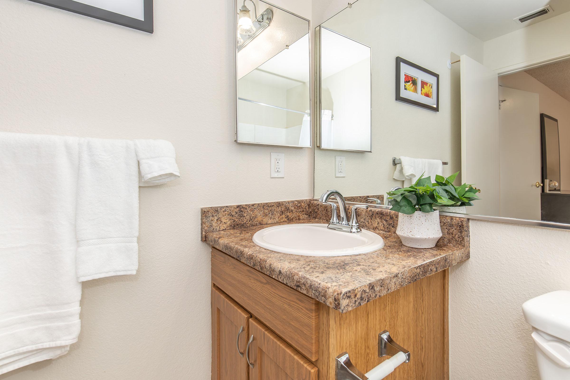 A bathroom vanity featuring a sink with a brushed nickel faucet, a granite countertop, and wooden cabinet storage. Two mirrors are mounted above the sink, and a small potted plant adds a touch of greenery. A white towel hangs next to the sink, and a door leads to another room in the background.
